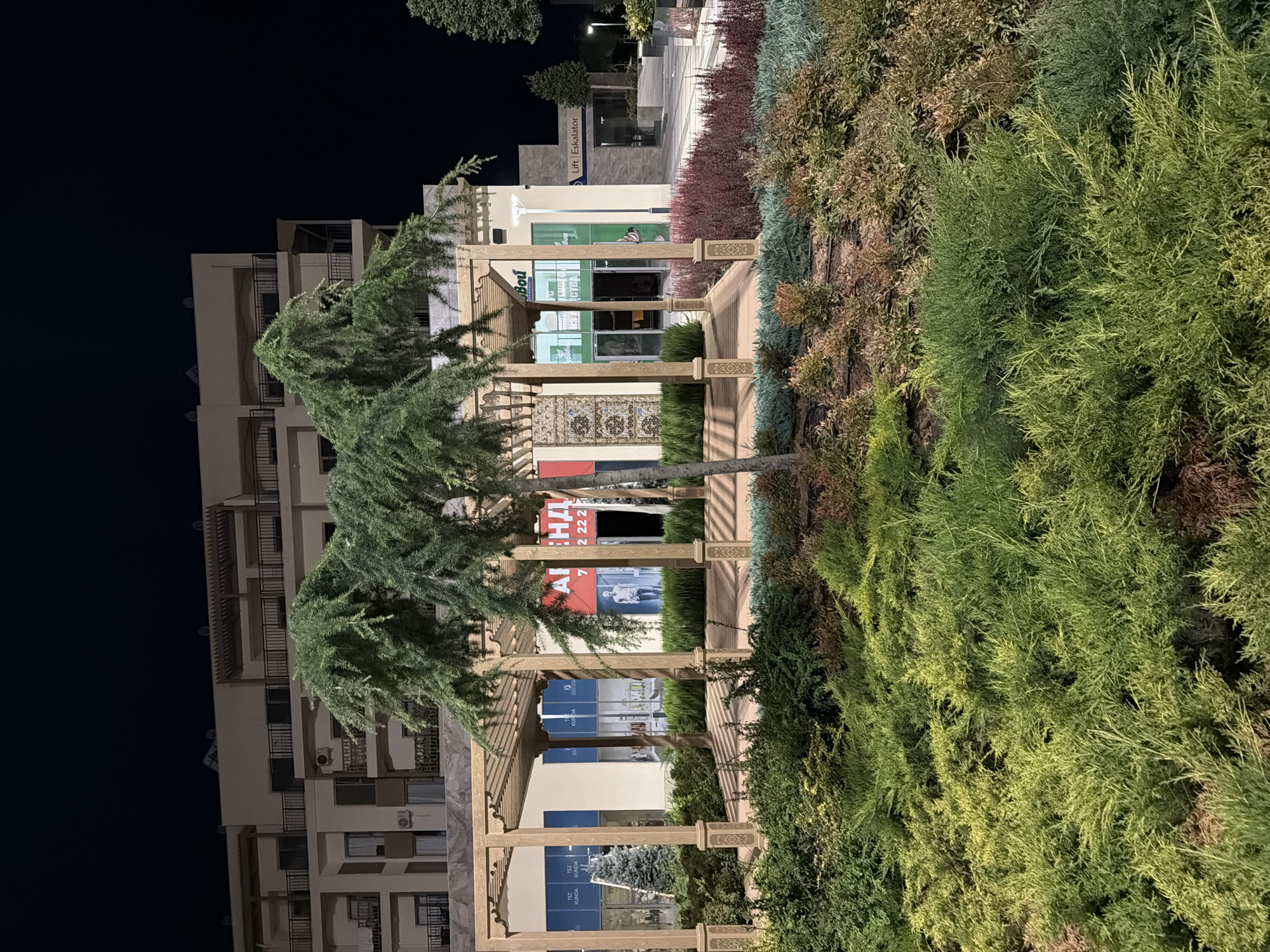 The image shows a night view of an outdoor area in Chinarkent, Uzbekistan. In the foreground, a meticulously landscaped garden features a variety of low-lying green shrubs and plants, with some areas of reddish-brown foliage. A prominent wooden pergola with decorative posts and a slatted roof stands in the mid-ground, framing the view of a building behind it. A small, multi-branched evergreen tree is situated within the pergola. The building behind the pergola has multiple stories with balconies and windows, and some of its facade is lit. Signs are visible on the building, including one with Cyrillic text and an advertisement with an image of a man. To the right of the main building, another building entrance is visible with a sign indicating "Lift Eskalator". The overall environment appears to be a public space, possibly a commercial or residential complex, well-maintained and illuminated for nighttime visibility. The sky is dark, indicating it is night.