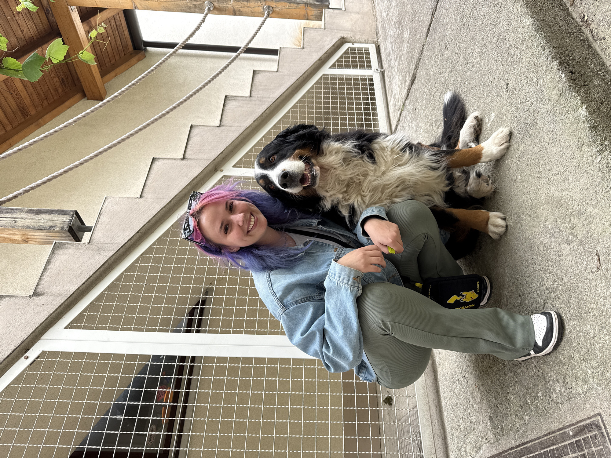 A woman with pink and blue hair is crouching down next to a Bernese Mountain Dog in what appears to be an outdoor location in Zagreb, Croatia. The woman is wearing a light blue denim jacket and green pants, with black and white sneakers. The dog is lying on the ground next to her, smiling. The background includes a building with a staircase, a white metal grate, and a rope railing. The ground appears to be concrete.