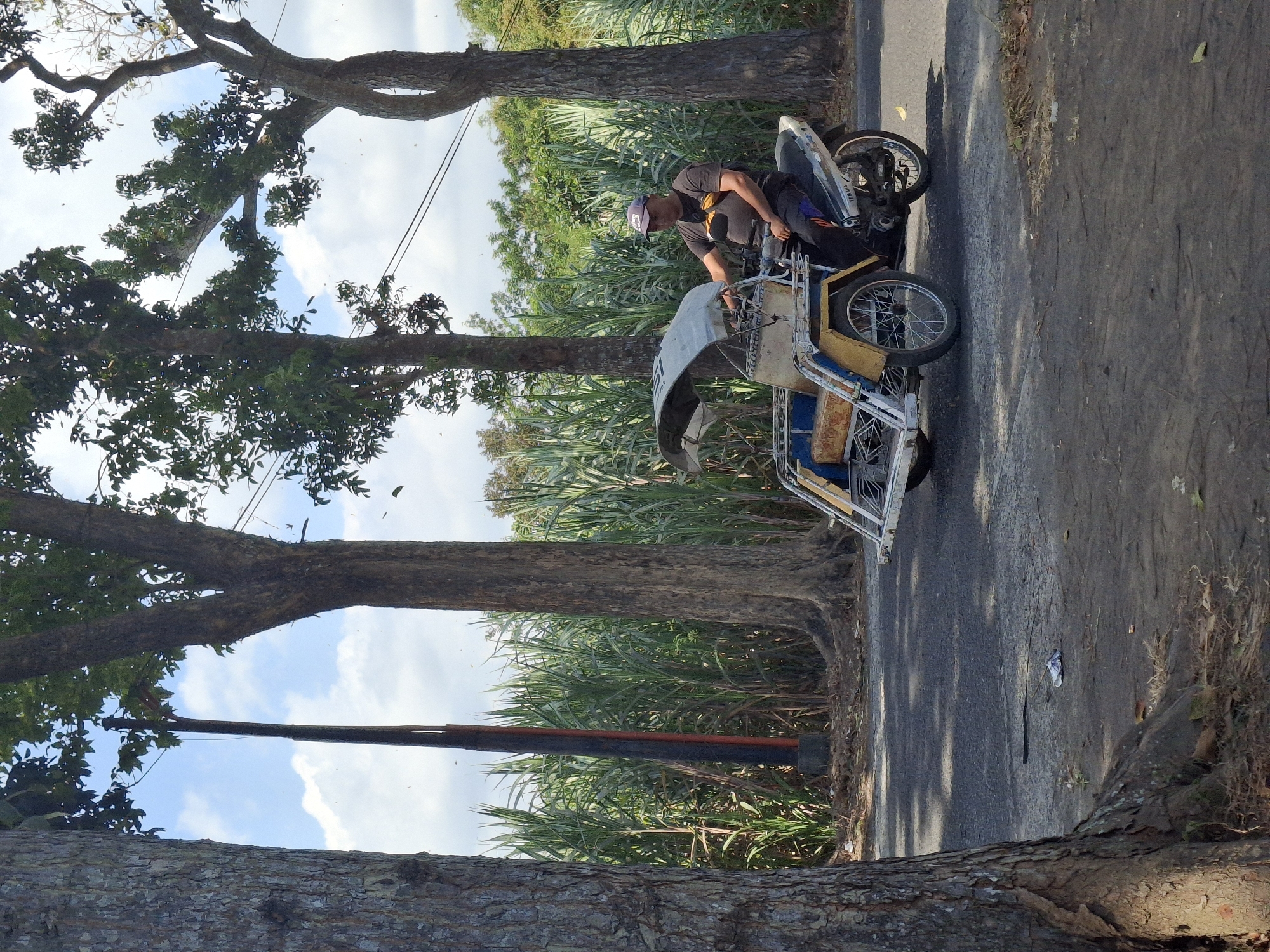A man wearing a dark t-shirt and a blue cap is sitting on a motorcycle, which is attached to a three-wheeled passenger cart. The cart is yellow and white, with a blue seat and a grey canopy. The man is looking towards his left. The motorcycle has "YAMAHA" written on its side. The vehicle is parked on an asphalt road. In the background, tall green plants, possibly sugarcane, line the roadside. Several large trees with rough bark are visible in the foreground and midground. The sky is blue with scattered white clouds. The overall scene appears to be in a rural or semi-rural area, with a power pole visible behind the man. The image was taken in Jogotrunan, Indonesia.