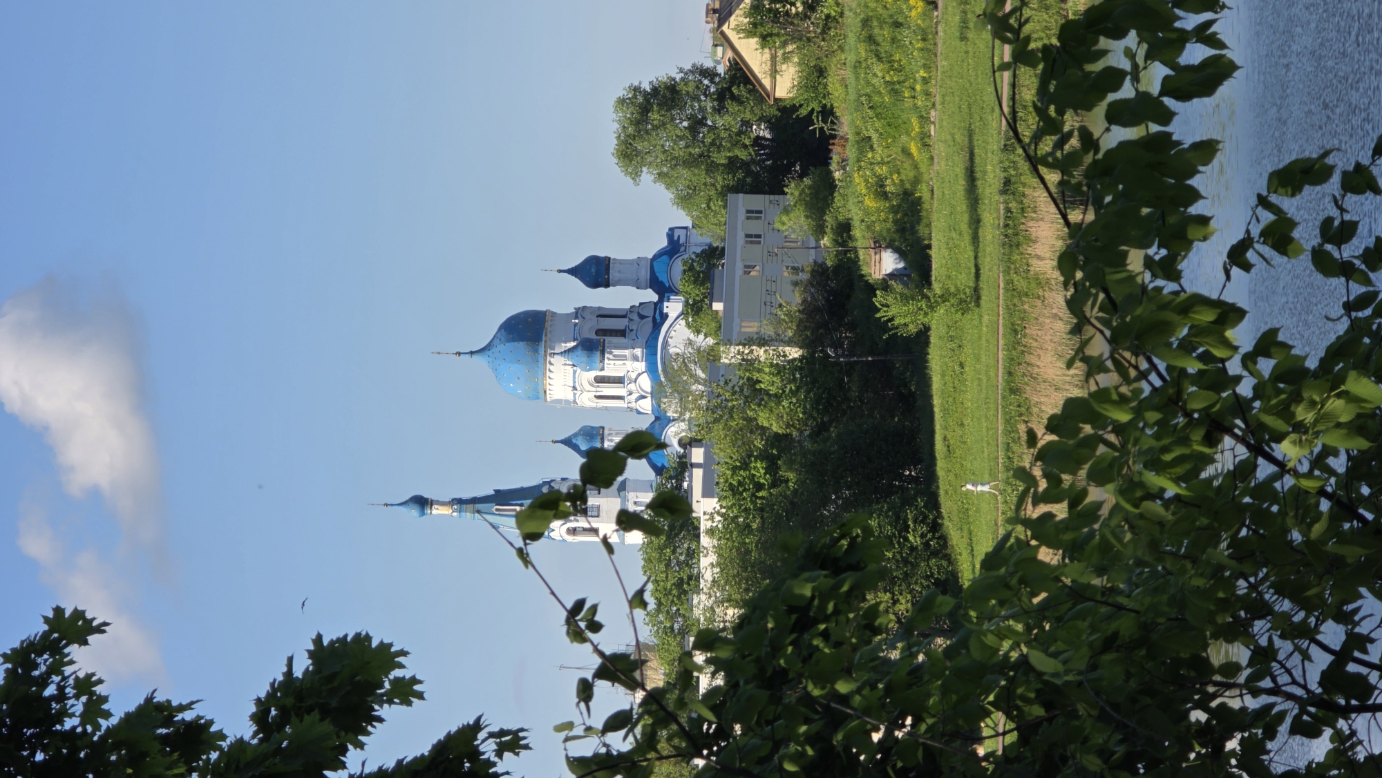 The image captures a view of the Cathedral of Saint Paul in Gatchina, Russia. The cathedral, characterized by its prominent blue domes with white accents, is partially obscured by foreground foliage. To the right, a grassy area transitions into a body of water, with a person discernible on the grass. The sky is clear with a few clouds. The scene is set during daylight, as suggested by the shadows and lighting.