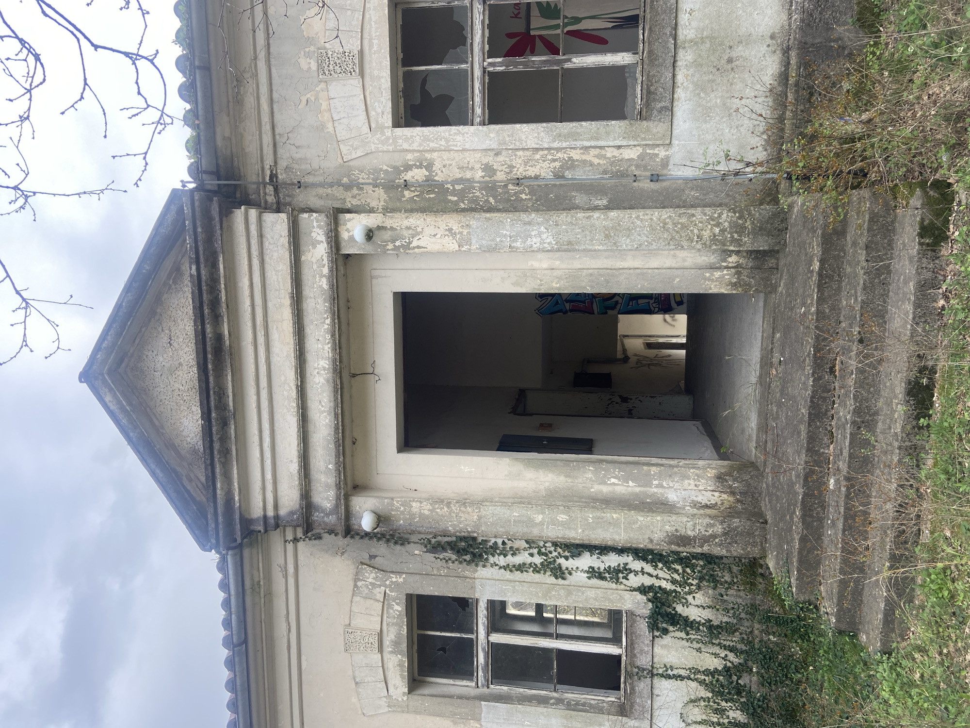 An exterior view of a dilapidated, single-story building in Đurmani, Montenegro, is depicted under an overcast sky. The structure features a central entrance with a pediment, flanked by two rectangular windows. The facade, originally light-colored, exhibits extensive paint peeling, cracking, and staining. Ivy vines are growing up the wall to the left of the entrance and around the left window. The entrance is open, revealing a dark interior with visible graffiti, including blue and white markings on a wall to the left inside. A set of three worn, concrete steps leads up to the entrance. Both windows have broken glass panes; the right window displays a large, red and green floral-patterned decal or painting on an interior surface. A spherical white light fixture is mounted on the wall to the left of the entrance. A grey conduit or pipe runs vertically down the wall between the entrance and the right window. The roof features visible curved tiles with moss accumulation. The foreground consists of overgrown grass, weeds, and small, bare shrubs. Bare tree branches are visible against the sky in the upper right quadrant. No individuals are present.