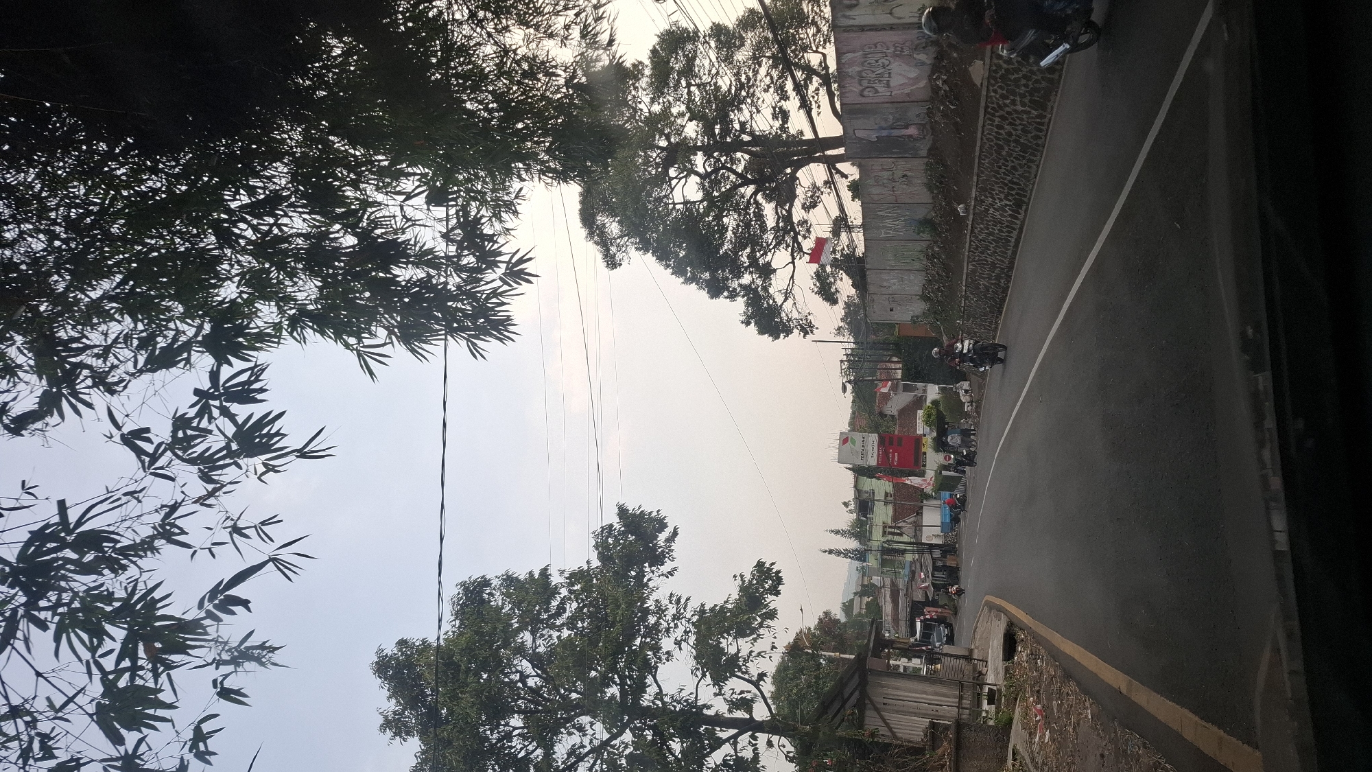 The image depicts a road in Cilaku, Indonesia, with lush greenery framing the scene. The road is paved and appears to be a main thoroughfare, with a yellow line marking the lane. Several motorcycles are visible on the road, some ridden by individuals wearing helmets. On the right side of the road, a stone wall with graffiti lines the embankment. Beyond the wall, a large tree stands prominently, its branches reaching towards the sky. In the distance, buildings, including what appears to be a gas station with signage, are visible. The sky is overcast, suggesting a mild or hazy day. Bamboo leaves hang from the top of the frame, adding to the natural ambiance of the location.