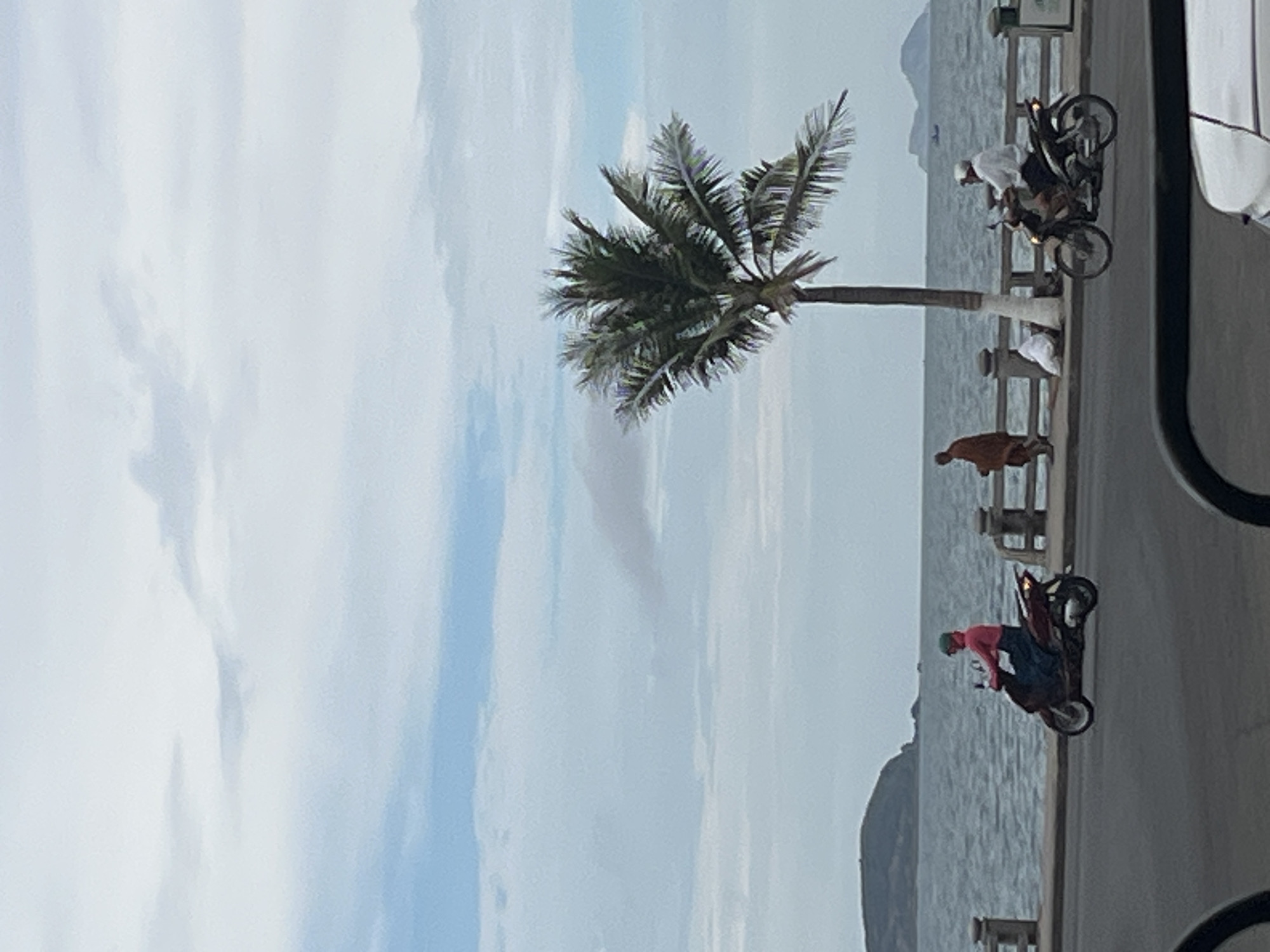 The scene depicts a palm tree standing tall along the coastline in Bac Nha Trang Ward, Vietnam. The sky is overcast, and the sea stretches into the horizon. People are present near the water, and several motorbikes are parked along the walkway.