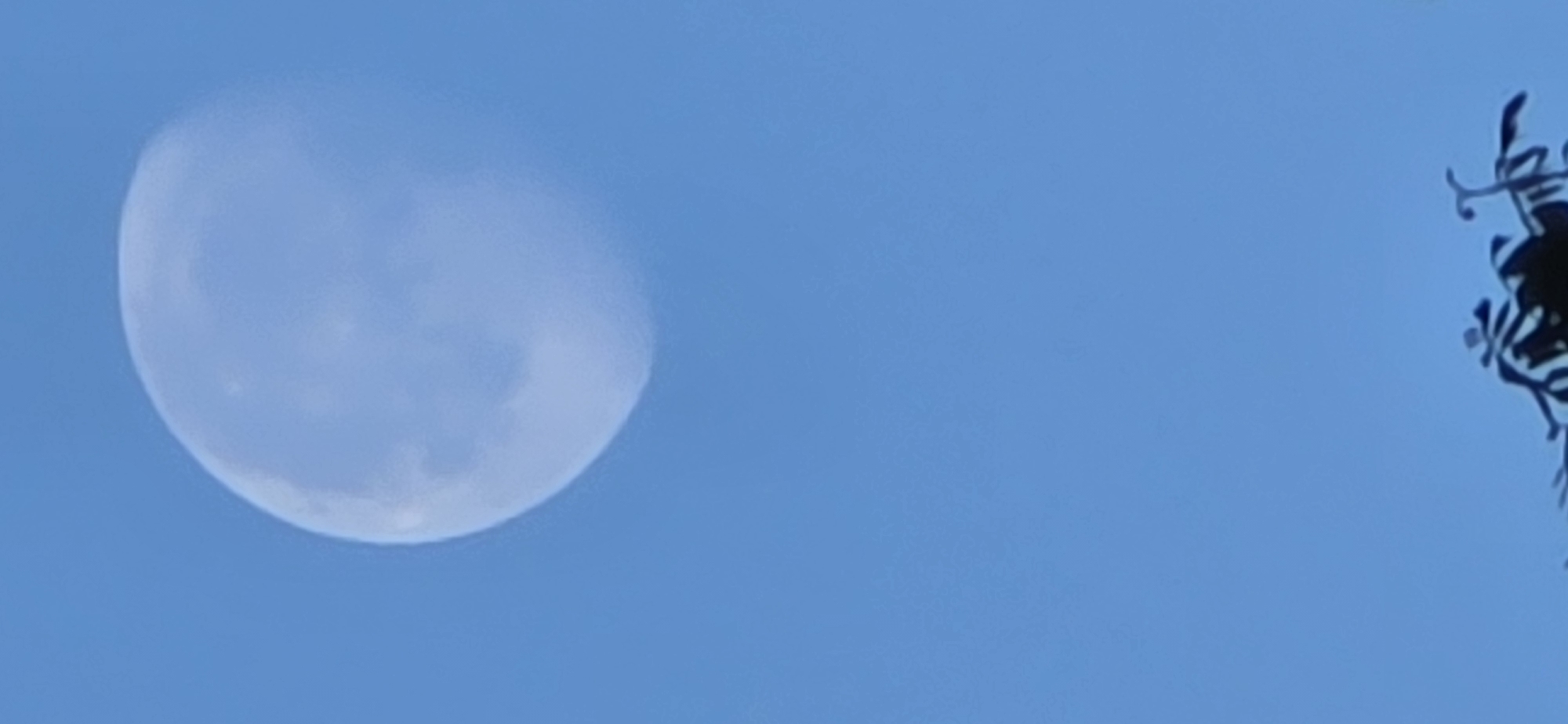 The image presents a daytime scene with a prominent crescent moon in a clear blue sky. Silhouetted tree branches appear in the right portion of the frame. Without additional information or contextual clues within the image, it is impossible to confirm the location as Sahún, Spain, or any other specific place.