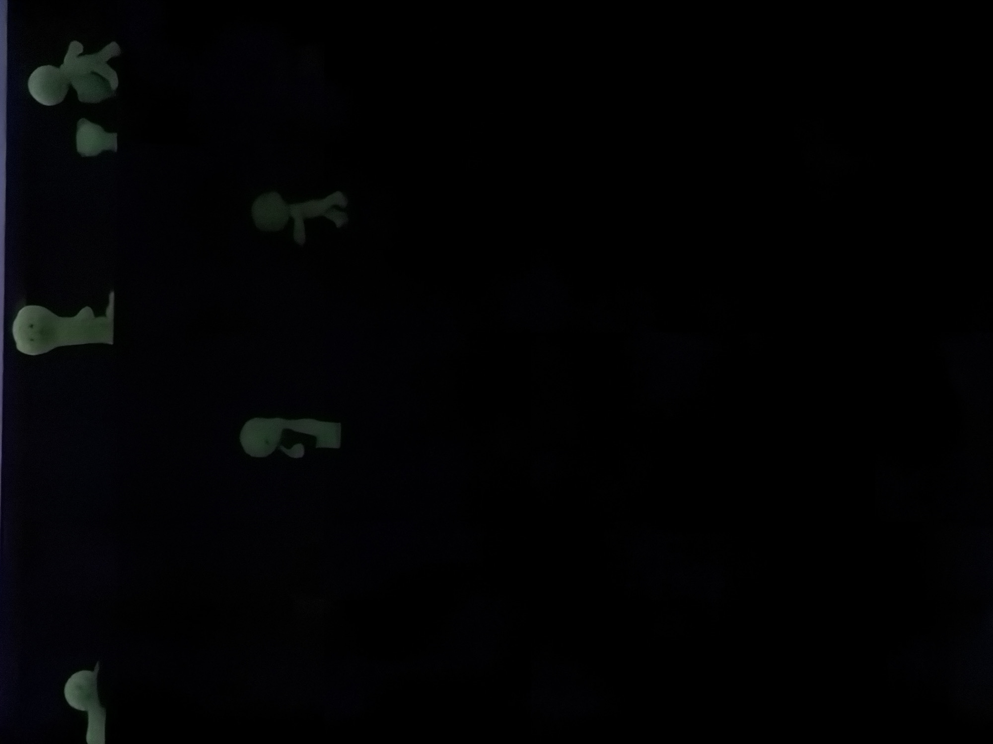 The image shows several small, vaguely humanoid figures that appear to be glowing or luminescent. They are scattered on a dark, undefined surface, possibly a wall or board. Their forms are simple and cartoonish, lacking clear facial details or clothing. The figures are arranged in a somewhat vertical line, with some appearing to be separated into parts or incomplete. The scene is dark, with the figures providing the only source of light, giving the impression of a display or installation in a dimly lit environment. There is no direct evidence to identify the location as San Andrés Cholula, Mexico.