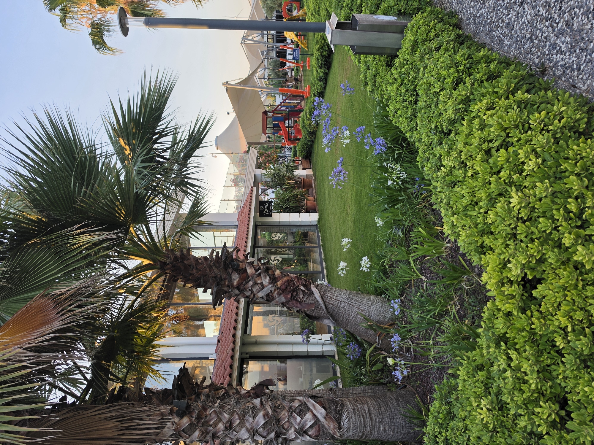 The image depicts an outdoor scene at what appears to be a resort or a public recreational area, possibly in Seferihisar, Turkey. The time of day is likely late afternoon or early evening, as indicated by the warm, golden light illuminating the palm trees and the clear sky. The weather seems pleasant and calm.
In the foreground, two large palm trees with textured trunks and fronds dominate the left side of the frame. Behind them, a modern building with large glass windows and a red-tiled roof is visible. The building reflects the ambient light, suggesting it might be a restaurant or a cafe, as hinted by a sign on the building that reads "Deniz Restaurant".
The middle ground features a neatly manicured green lawn adorned with clusters of purple and white flowers, likely Agapanthus. Beyond the lawn, a playground with colorful slides and structures is set up under a large, light-colored awning, suggesting an area designed for children's recreation.
To the right of the lawn, a dense hedge of bright green, bushy plants forms a border. Next to the hedge, a gravel path is visible, with a modern trash receptacle and a lamp post situated along it. The overall atmosphere is serene and inviting, conveying a sense of a well-maintained and relaxing environment. No people are clearly visible in the image, contributing to the tranquil ambiance.