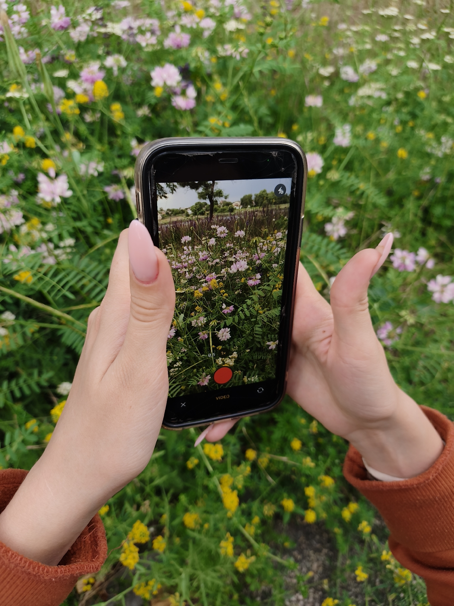 An outdoor, eye-level, medium shot shows a person holding a smartphone horizontally to capture a video of a field of flowers. The person's hands, with light-pink, rounded fingernails, are visible on either side of the phone. The left hand is closer to the camera, with the thumb resting on the back of the phone and the index finger and other fingers curled around the side. The right hand is positioned behind the phone, with the index finger extended. The smartphone screen displays a video recording interface, showing a close-up of pink, white, and yellow flowers against a blurred green background. A red circular button at the bottom of the screen indicates that recording is in progress, and the word "VIDEO" is visible next to it. The background of the scene is a dense field of various wildflowers, with a mix of colors including pink, white, and yellow, set against lush green foliage. The overall impression is of a peaceful natural setting, possibly a park or meadow. The specific location in Kryvyi Rih, Ukraine, is not explicitly identifiable from the visual information.