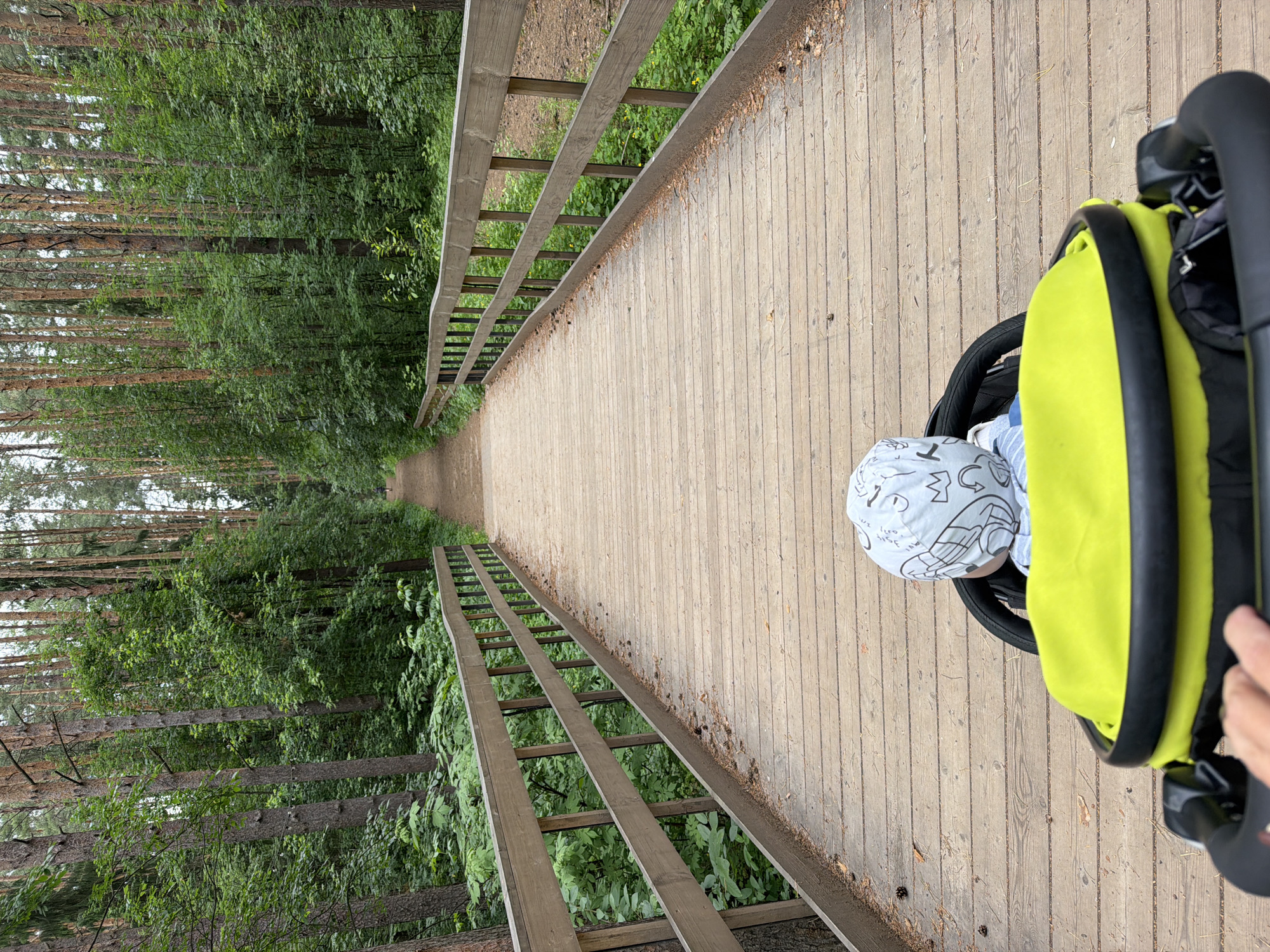 The image shows a perspective from a stroller looking forward onto a wooden bridge with railings that extends into a forest. A young child wearing a light-colored patterned hat is seated in the stroller. The bridge is made of wooden planks and is bordered by a wooden railing. The forest on either side of the bridge is dense with tall pine trees and lush green foliage. The ground on the bridge and the surrounding areas appears to be covered with pine needles and fallen leaves. In the distance, a pathway is visible leading further into the forest. The scene appears to be located in a natural, outdoor environment. The city of Votkinsk, Russia, is mentioned in relation to this image, suggesting it might be a park or nature trail within or near the city.