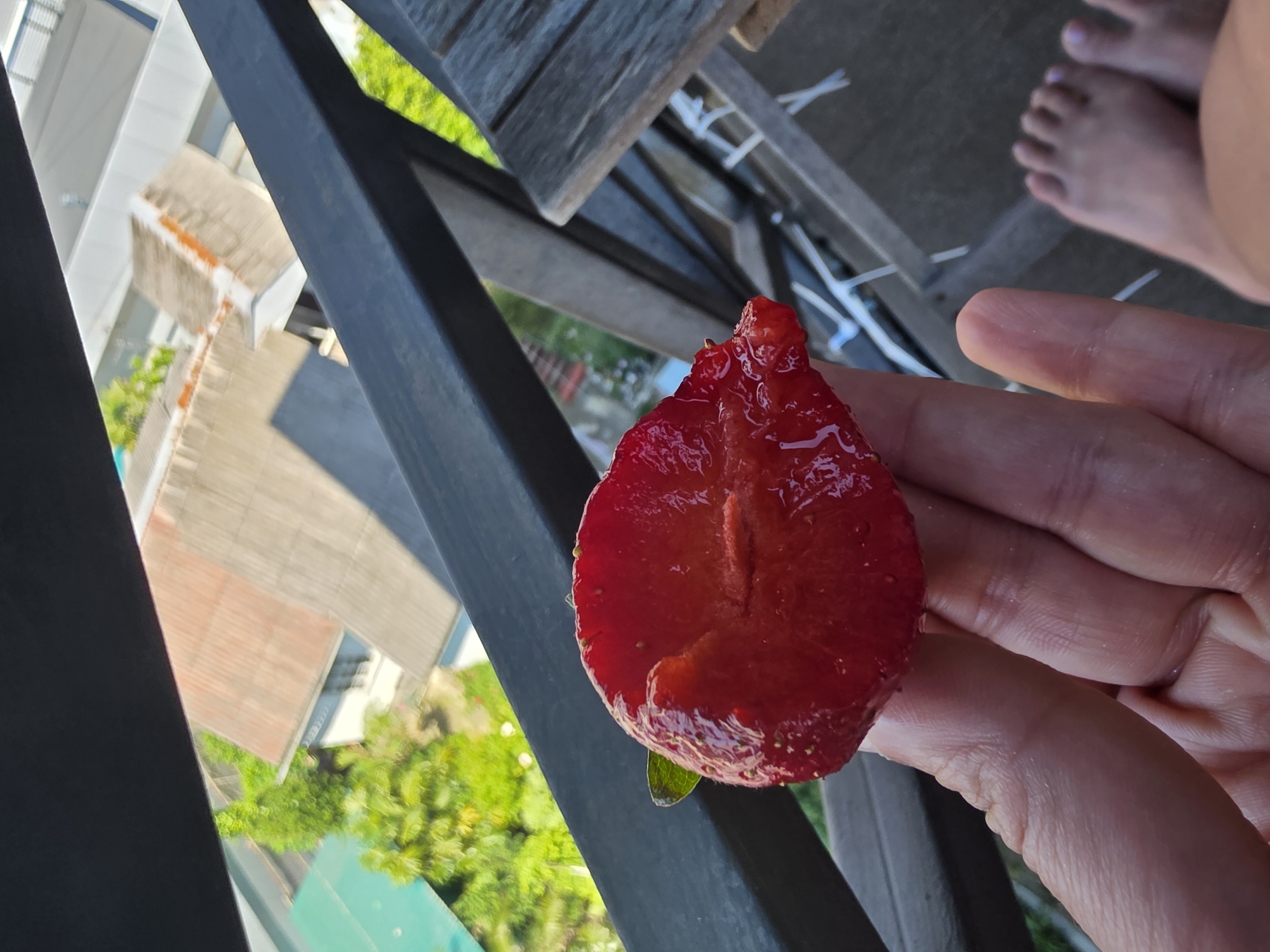 The image shows a close-up of a halved strawberry held in a person's hand. The strawberry is bright red and appears juicy, with visible seeds and a cut surface showing the internal structure. In the background, out of focus, are rooftops of buildings, some with reddish-brown tiles and others with green metal roofing. Trees with lush green foliage are also visible. A dark metal railing runs across the middle ground, and a wooden table is partially visible on the right side. In the lower right corner, a person's bare feet are visible, with toes painted light purple. The scene suggests an outdoor setting, possibly a balcony or patio, with a view of an urban environment. There is no information in the image that directly indicates the location is Sochi, Russia.