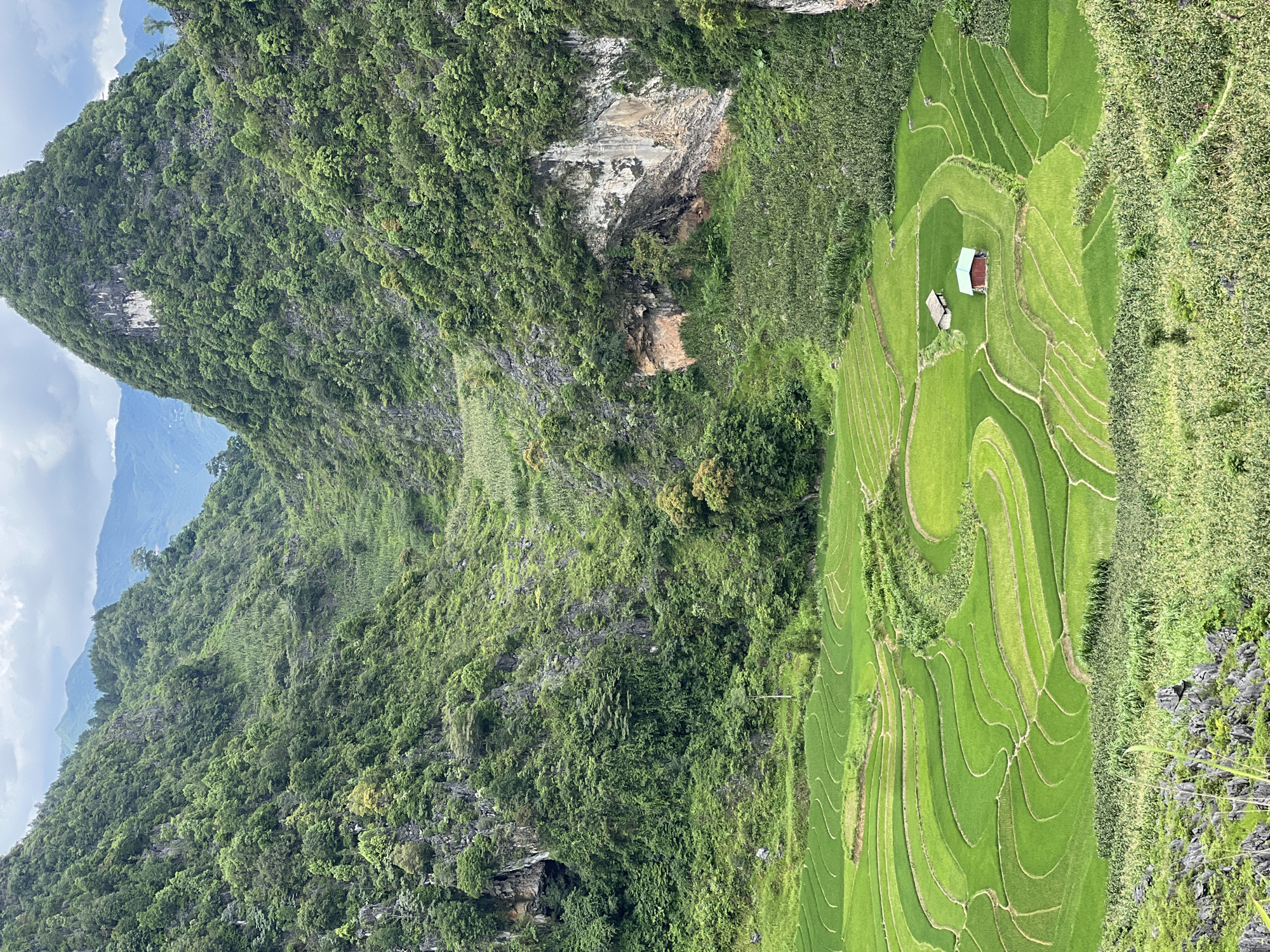 The image shows a panoramic view of terraced rice fields in Đồng Văn Commune, Vietnam. The lush green fields are carved into the steep slopes of a valley, surrounded by imposing, tree-covered karst mountains. Two small houses, one with a red roof and the other with a beige roof, are nestled within the rice paddies. The sky above is overcast with a few distant mountain ranges visible in the background. The scene is a quintessential depiction of rural Vietnamese landscape, characterized by its natural beauty and agricultural practices.