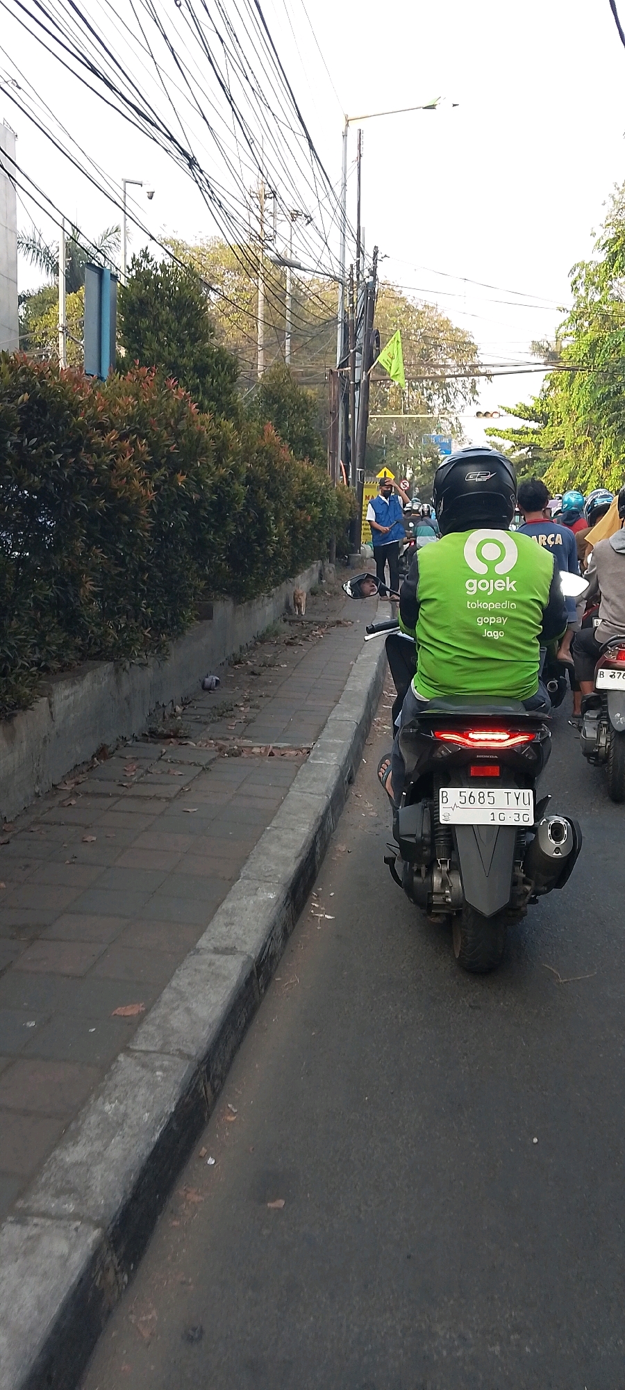 In Bekasi, Indonesia, a Gojek delivery rider in a green jacket is seen from behind on a motorcycle, stopped in traffic on a street lined with dense green bushes and a sidewalk. The rider's license plate reads "B 5685 TYU". Further up the street, a person in a blue vest and white hard hat stands near a street sign and a green flag. Another motorcyclist, also wearing a green vest, is visible further ahead. The sky is overcast, and numerous electrical wires are strung across the scene. A ginger cat is present on the sidewalk near the bushes, and a pigeon is on the ground nearby.