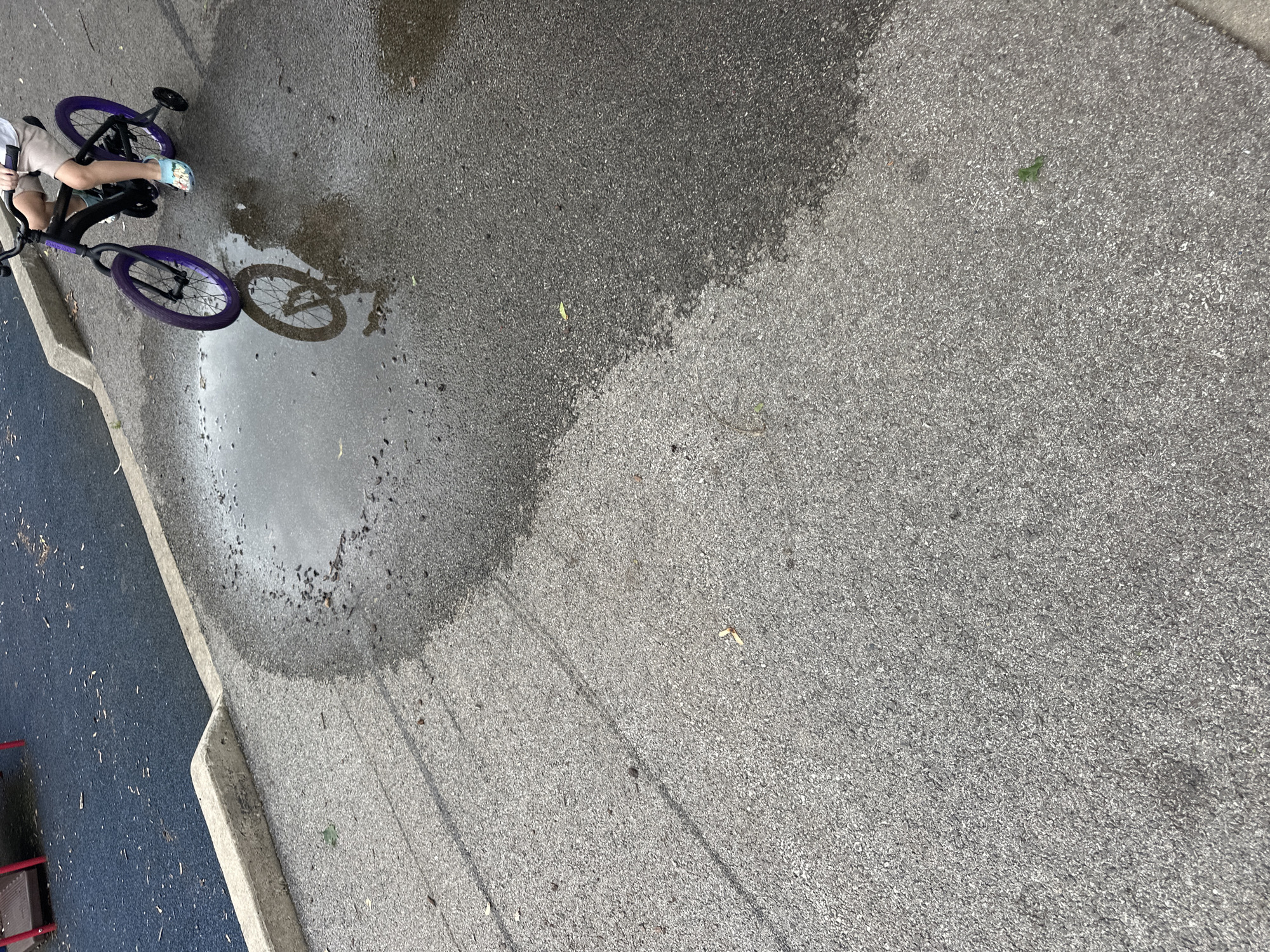 In Streamwood, Illinois, USA, a child is riding a bicycle with training wheels on an asphalt surface, evident in the image. The bicycle features purple rims on its wheels and a black frame. The child is wearing light-colored shorts and a white t-shirt. Their feet are adorned with colorful slide-on sandals. A large puddle of water is visible on the asphalt in front of the bicycle, and the bicycle's reflection is clearly seen in the water. The surrounding environment includes a concrete curb and what appears to be a playground surface in the background, composed of dark blue material with scattered leaves. The asphalt surface shows signs of being wet, with darker patches indicating moisture.