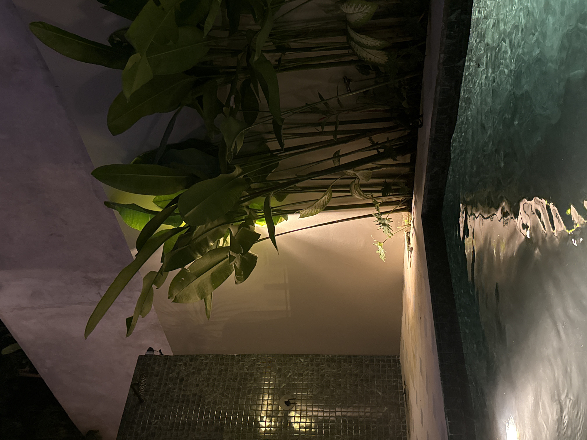 This image depicts a tranquil nighttime scene in a tropical or semi-tropical outdoor setting. The frame is dominated by lush, dark green foliage, featuring large, broad leaves typical of banana or similar plants, alongside smaller leafy branches. These plants appear to be hanging downwards, possibly from an overhead structure or canopy, with many stems and stalks visible in the background.
To the right, a serene body of water, likely a swimming pool or a decorative water feature, captures and reflects ambient light, creating a textured surface with ripples and glowing highlights. The water appears deep and dark, complementing the nighttime ambiance.
At the bottom of the image, a wall is visible, sectioned into two distinct textures. The lower part features dark green mosaic tiles, with an embedded light source casting a warm glow and highlighting a metallic water spout or fixture. Above this, a smooth, light-colored wall, possibly concrete or stucco, reflects the light, providing a brighter backdrop behind some of the foliage.
The scene is illuminated entirely by artificial light sources, indicating it is nighttime or late evening. The lighting creates a sense of depth and accentuates the textures of the plants, water, and walls. No people or specific activities are present, contributing to the peaceful and still atmosphere. There is no visible text in the image. The setting, with its tropical plants and water feature, suggests a resort, hotel, or private garden environment, fitting the Kuta Selatan, Indonesia context.