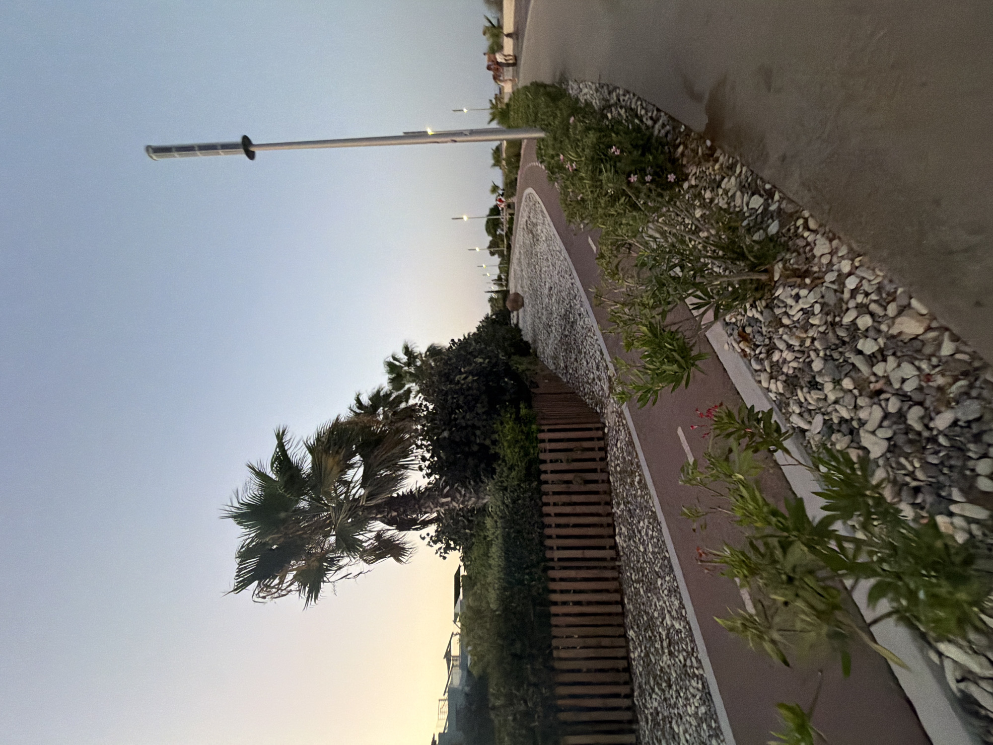 The image depicts a paved pathway curving through a landscaped area in Pervolia, Cyprus, likely near the coast given the palm trees and clear sky. The pathway, with a red surface and white line, appears to be a designated cycle or pedestrian route. On the left, a wooden fence encloses a garden bed filled with white pebbles and a low-lying green bush with small pink flowers. Several palm trees are visible in the background, with lush green foliage. A tall, modern lamppost with a solar panel is positioned on the right side of the pathway. Further down the path, several people are walking or standing, and more lampposts are spaced along the route. The overall scene suggests a recreational area during twilight, with a serene and well-maintained environment.
