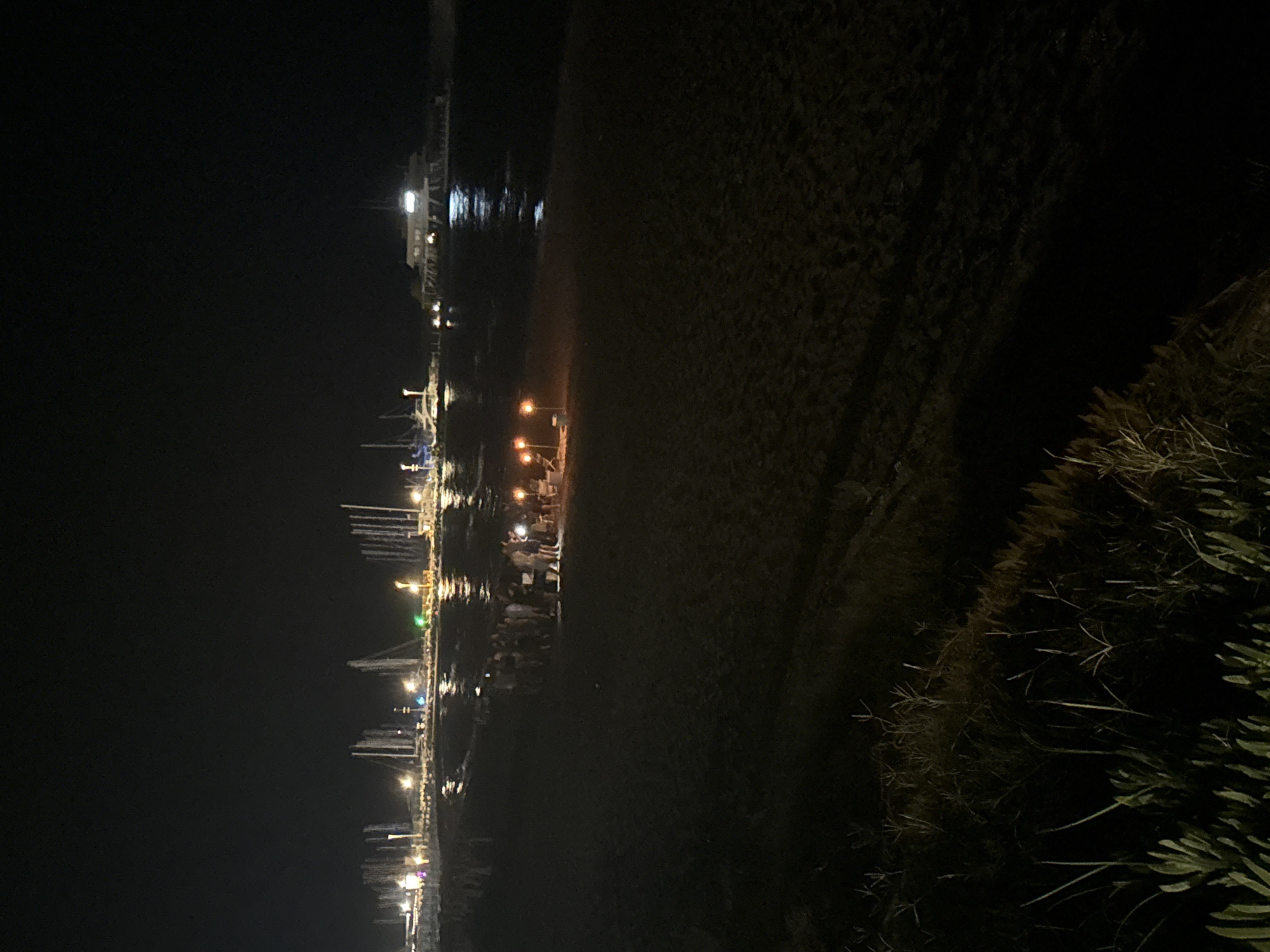 The image depicts a nighttime scene at a beachside marina in Parekklisia Community, Cyprus. In the foreground, dark sand is visible with some grass and foliage on the lower left. Further back, a group of people are gathered on the beach, illuminated by several torches, suggesting a social event or celebration. Beyond the beach, the marina is visible with numerous docked boats, their masts creating a distinct silhouette against the night sky. Lights from the boats and the marina infrastructure are visible, reflecting on the calm water. In the distance, a larger vessel, possibly a ferry or cruise ship, is moored at the end of a pier, its lights casting a glow on the water. The overall atmosphere is one of a quiet evening by the sea, with activity concentrated around the gathering on the beach and the illuminated marina.
