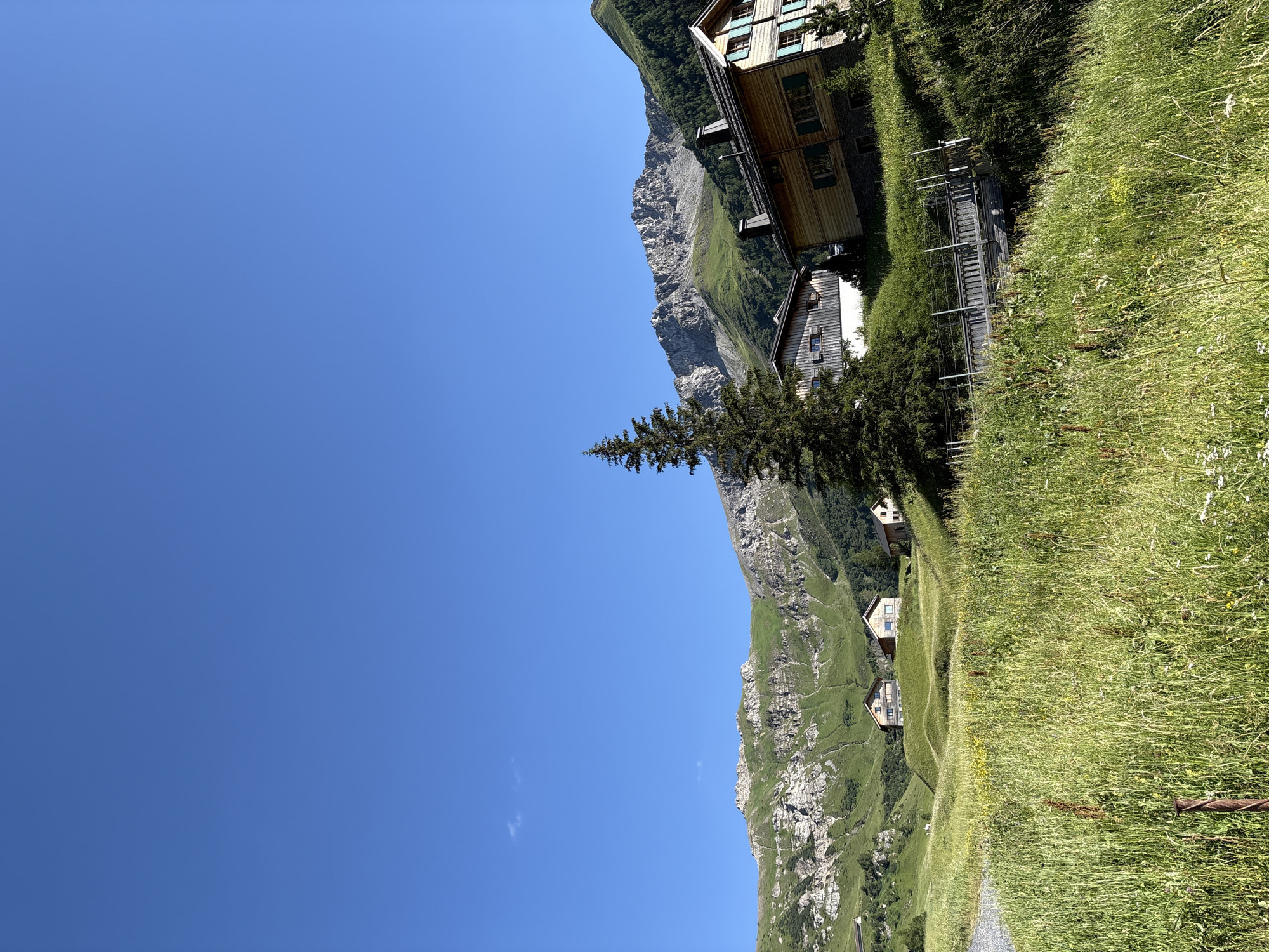 The image shows a picturesque alpine landscape in Malbun, Liechtenstein. The scene is dominated by a vast expanse of clear blue sky. In the mid-ground, rolling green hills are dotted with several wooden chalets, characteristic of mountain villages. The chalets have traditional pitched roofs and wooden facades, some with visible windows and shutters. A tall, slender evergreen tree stands prominently in the foreground, adding to the alpine feel. A wooden footbridge, complete with railings, crosses a gentle slope amidst lush green grass and wildflowers. In the background, a majestic mountain range rises, its rocky peaks contrasting with the verdant slopes and the deep blue sky. The overall impression is one of tranquility and natural beauty.