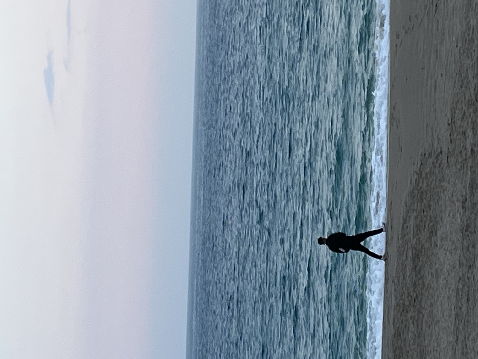 The image, oriented vertically, captures a serene coastal landscape. If viewed as if rotated 90 degrees counter-clockwise, the scene unfolds with a sandy beach on the right, the ocean in the middle, and an overcast sky on the left.
A single, dark silhouette of an adult figure stands at the water's edge, forming the primary subject. The person appears to be either walking along the shoreline or paused in contemplation, with their posture suggesting a momentary step or balance, facing generally towards the sand.
The ocean dominates the central portion of the rotated frame, presenting a textured surface of blue-gray water with gentle, white-capped waves breaking along the shore where the person stands. The beach on the right is composed of darker, damp sand, showing fine texture. The sky, a soft and uniform light blue-gray, fills the left side of the frame, indicative of an overcast day.
The diffused lighting creates a soft, shadowless environment, contributing to a quiet and possibly introspective atmosphere. The predominant colors are cool tones of blue, gray, and muted beige. There are no other discernible objects or visible text. The setting is a peaceful beach, located in Alanya, Turkey.