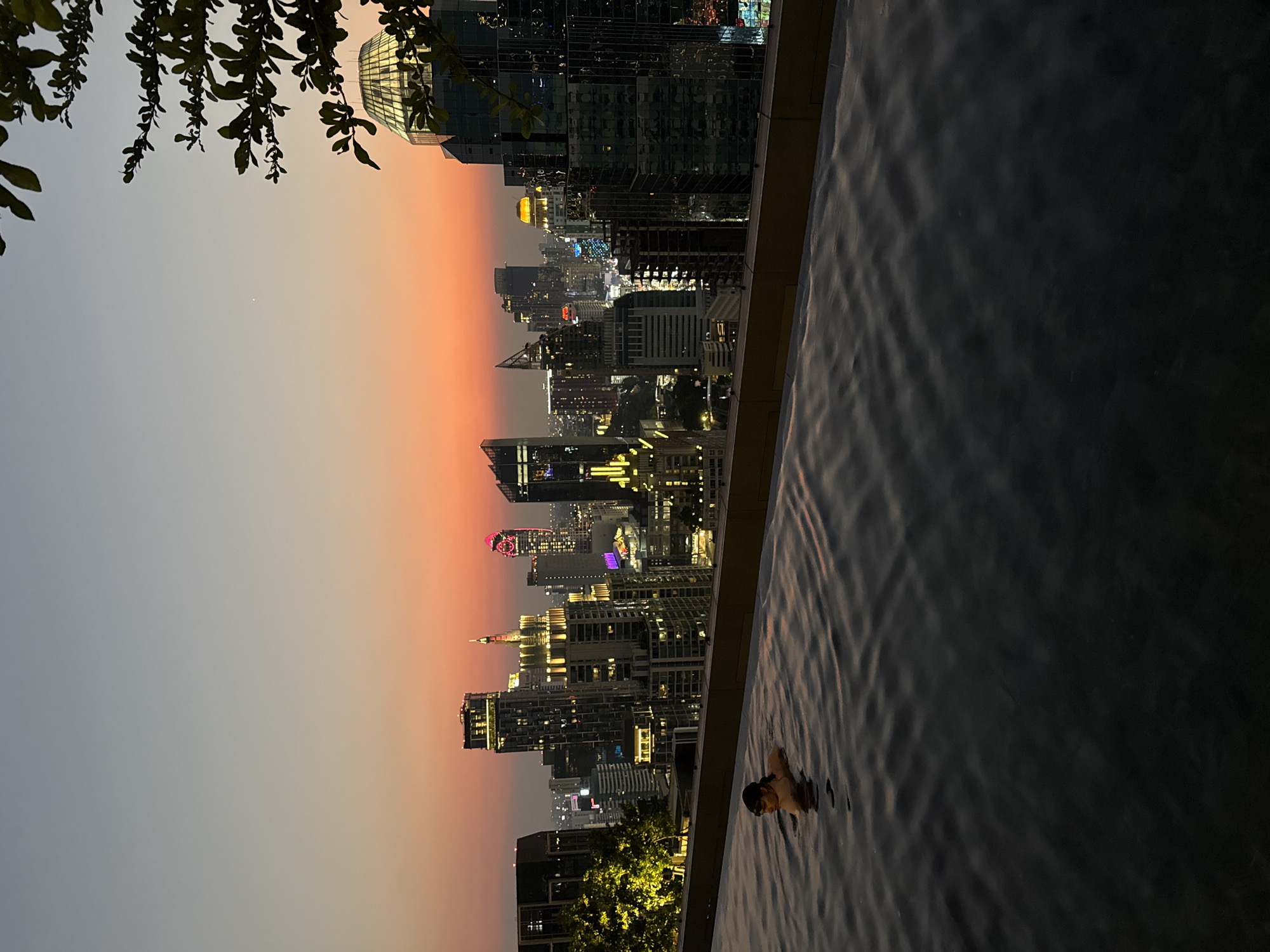 The image captures an elevated view of Bangkok, Thailand, at dusk, from what appears to be an infinity pool. The skyline is prominent, with numerous illuminated skyscrapers creating a vibrant cityscape against a backdrop of a gradient sky that transitions from pale grey to a warm orange hue. Some buildings are topped with distinctive features like a rounded glass dome. The infinity pool occupies the right side of the frame, with subtle ripples visible on the water's surface. In the pool, a person is partially submerged, with only their head and shoulders visible. A cluster of tree branches with leaves hangs in the upper left corner of the image, partially obscuring the view.