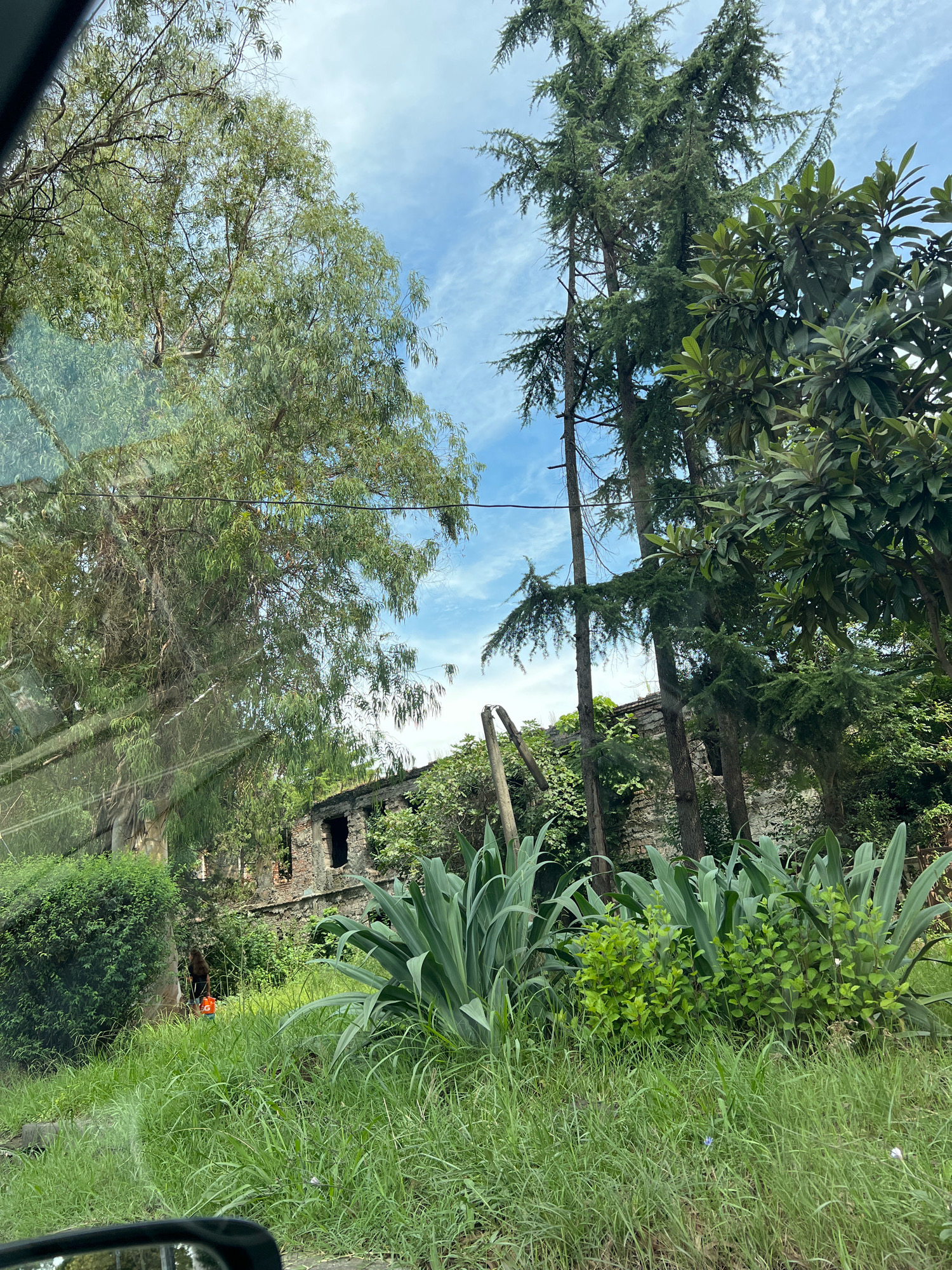 The image shows an abandoned brick building with open doorways and windows, partially overgrown with vegetation. Tall trees, including what appear to be cypress and eucalyptus trees, surround the structure. In the foreground, lush green grass and large-leafed plants are visible. A woman with long brown hair, wearing a black top and shorts, is walking away from the camera towards the building, carrying an orange bag. She is seen to the left of the center of the image. The sky above is blue with scattered white clouds. The scene suggests an outdoor, semi-wild environment within a city, possibly in Sokhumi, Abkhazia, given the context of abandoned structures and vegetation.