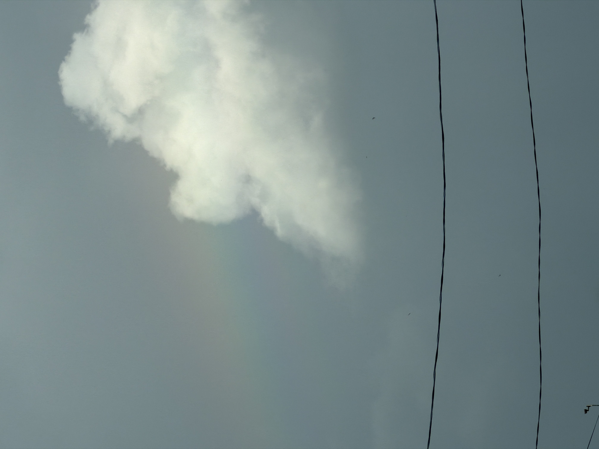 The image shows a gray sky with a large, fluffy white cloud on the right side. A faint rainbow is visible to the left of the cloud. Two dark wires run horizontally across the lower part of the image. A small, dark object, possibly a bird, is visible in the sky near the wires. The overall impression is that of a cloudy day with a hint of a rainbow. The specific location in the city of Chaikovsky, Russia is not discernible from the image itself.
