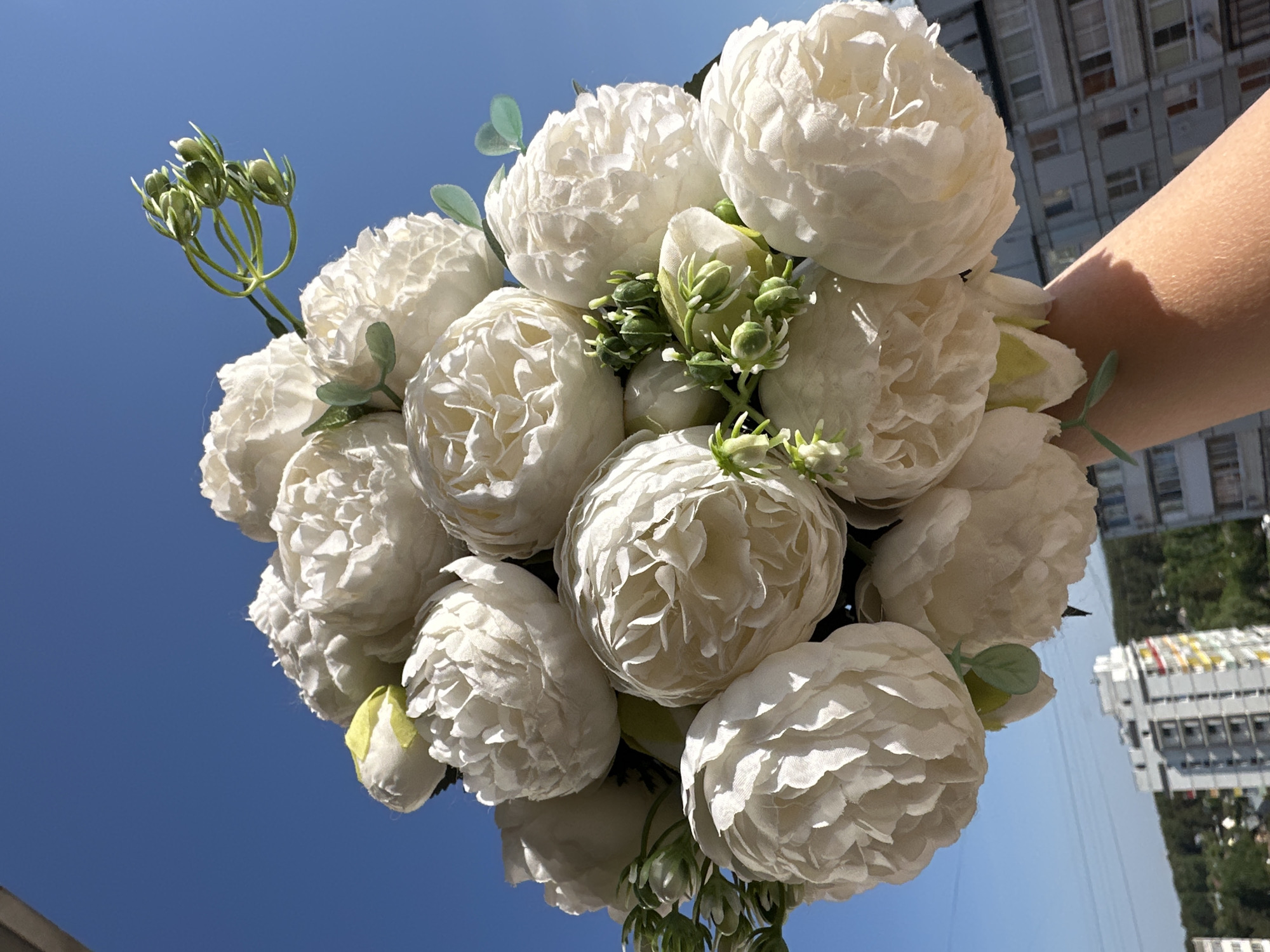 A low-angle shot depicts a bouquet of white peony-like flowers with green foliage, held by a fair-skinned arm, against a clear blue sky. In the background, obscured by the flowers and the camera angle, is a building with multiple windows. The bouquet appears to be held outdoors, and the presence of the building indicates an urban setting. Based on visual cues, the location is most likely Chaikovsky, Russia.