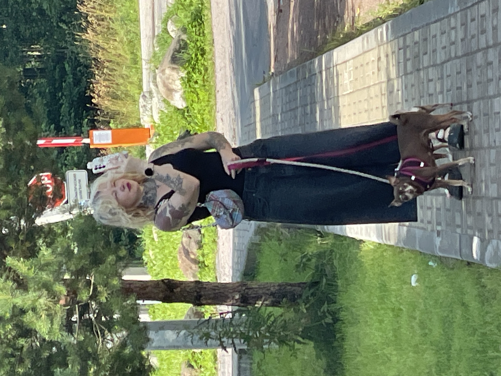 The image depicts a woman with blonde hair, tattoos on her arms, and dark clothing walking a small brown dog on a leash. The woman is holding a smartphone in her right hand. She is wearing a black tank top and a dark, long skirt. The dog is wearing a harness. They are on a paved walkway next to a grassy area. In the background, there is a tree, some rocks, and foliage. There is also an orange and white striped barrier in the background. The scene appears to be an outdoor urban or suburban environment. The location is identified as Ladozhskoe Ozero, Russia.