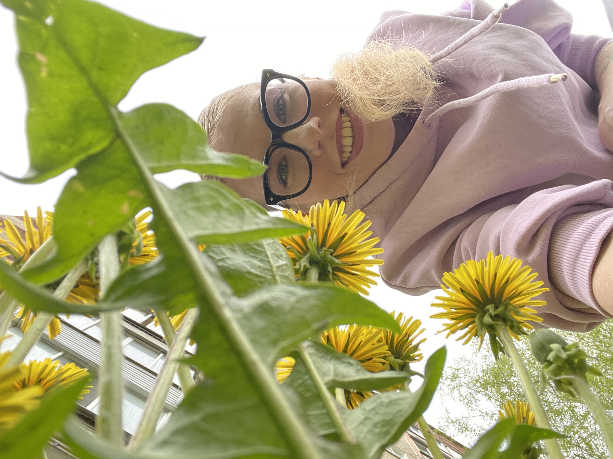 The image is a low-angle shot looking up at a person standing among dandelions. The person has fair skin, wears black-rimmed glasses, and has blonde hair. They are wearing a lavender hoodie and smiling. The dandelions are in full bloom with bright yellow petals and green leaves. Some are in bud. In the background, part of a building with a window is visible, as well as some trees. The location is Izhevsk, Russia.