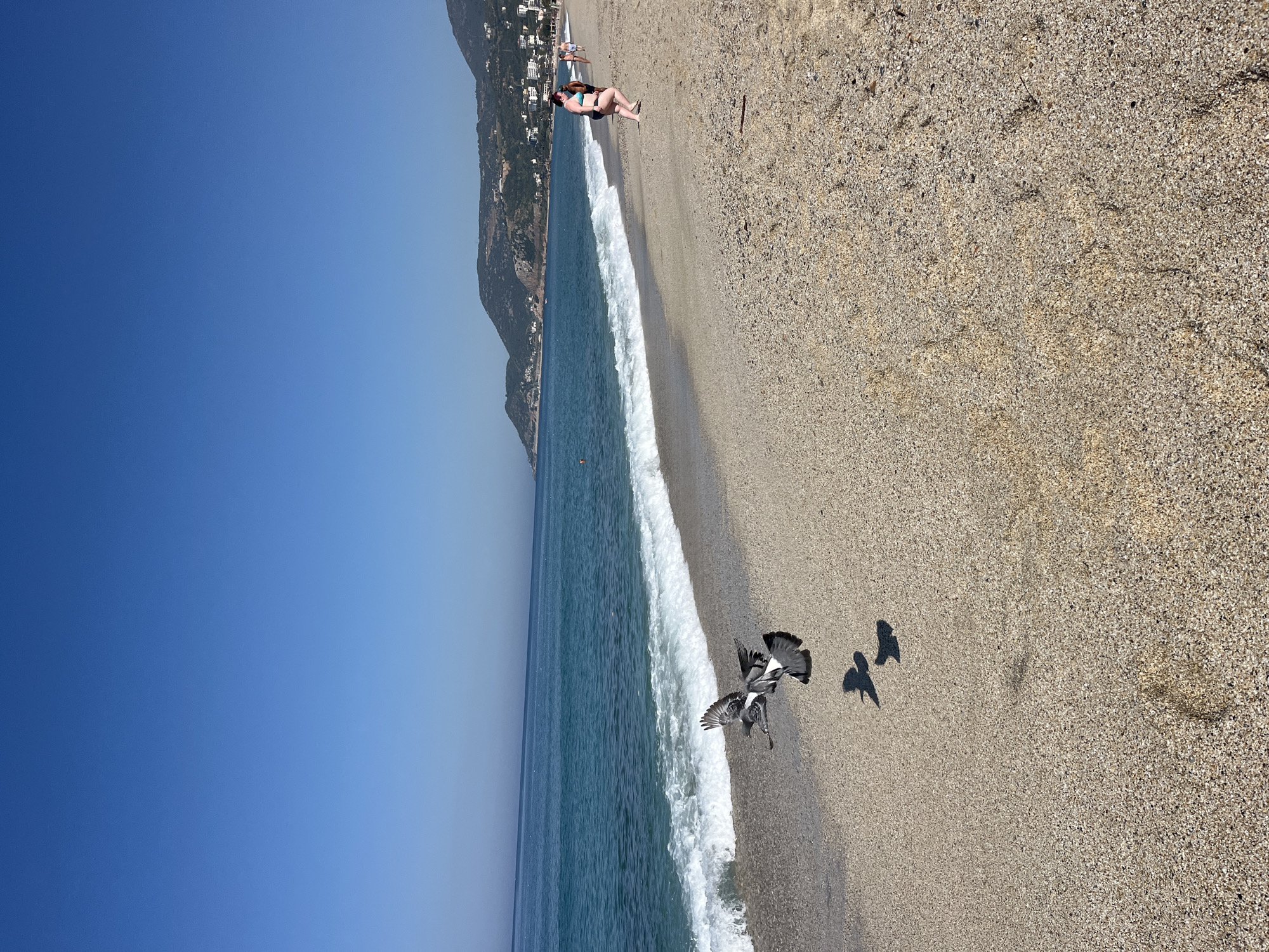 The image depicts a beach scene in Alanya, Turkey, with a clear blue sky and the Mediterranean Sea. A mountain range with buildings is visible in the background. The beach is sandy, with waves crashing on the shore. Two birds are captured in flight near the shoreline, casting shadows on the sand. A woman in a bikini is lying on the beach in the background.
