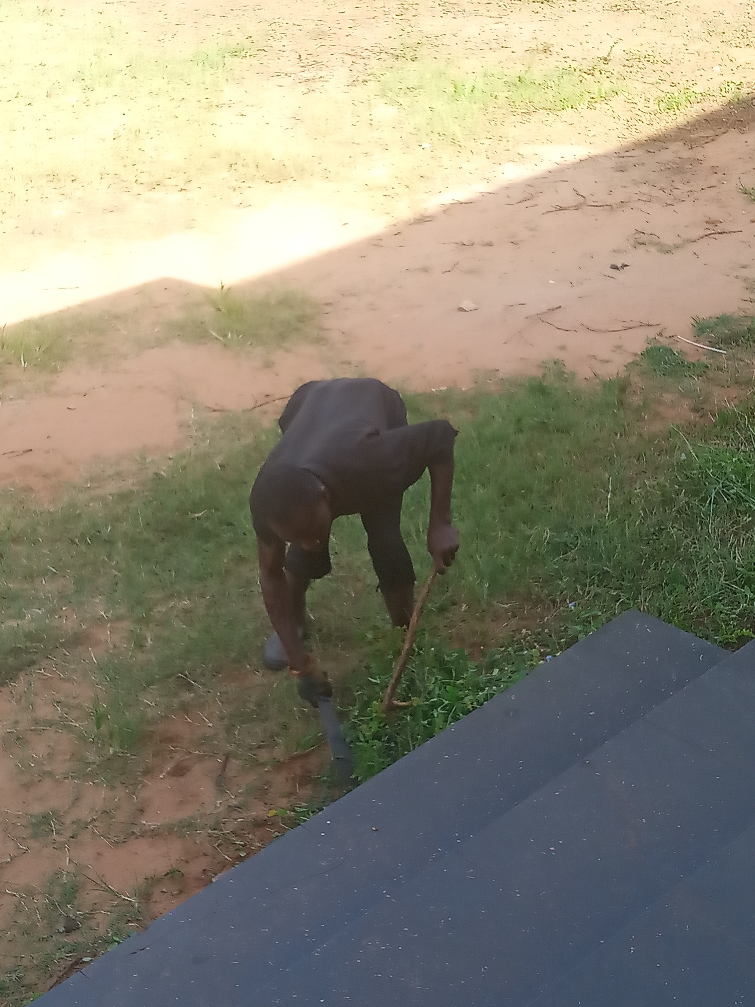This high-angle, outdoor photograph captures an individual engaged in manual labor on the ground. The sole subject is a person, likely an adult male, with dark skin, seen from a slightly elevated perspective, bent forward and focused on the task. He appears to be wearing dark clothing on his upper and lower body.
In his right hand, he holds a thin, wooden stick or branch. His left hand grips a dark-colored tool, possibly a hoe or cutlass, which is in contact with the ground. The person's posture and the implements suggest he is either weeding, tilling, or clearing the land.
The scene is an open area with a ground cover consisting of light brown, sandy dirt interspersed with patches of green grass. A prominent, elongated shadow, likely cast by a nearby structure, extends diagonally across the upper and middle sections of the ground. In the lower right of the frame, dark-colored steps or stairs are visible, indicating the presence of an elevated platform or building adjacent to the work area.
The bright sunlight and sharp shadows suggest it is daytime, likely a sunny and clear day. No specific emotions are discernible, as the individual is absorbed in their work. The general setting of mixed earth and grass, along with the manual labor, is consistent with an outdoor environment in Nsugbe, Nigeria. There is no visible text in the image.