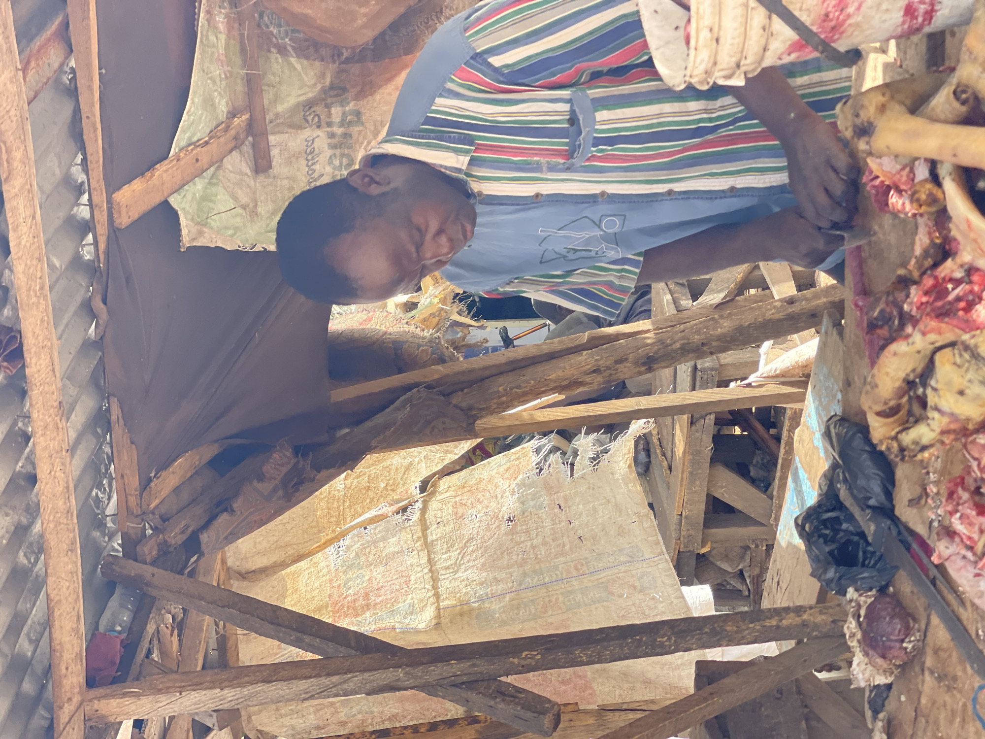 An image, captured in Chikaji, Nigeria, depicts a man engaged in butchery within a makeshift structure. The scene is brightly lit by natural daylight, suggesting it is daytime.
The primary subject is a dark-skinned man with short dark hair, wearing a multi-striped shirt (featuring blue, green, red, white, and yellow stripes) over a light blue long-sleeved undershirt with a graphic design. He is intensely focused on the task at hand, holding a knife or similar cutting tool and working on a large piece of raw meat, including bones, which rests on a wooden surface to his right. A black plastic bag and a dark red object (possibly an organ) are also visible near the meat.
The setting appears to be an informal or open-air butchery. The structure surrounding the man is rudimentary, constructed from rough wooden planks that form beams and supports. Corrugated metal sheets are visible in the background, likely forming part of the roof or walls. Several large, light-colored woven sacks, possibly repurposed feed or cement bags, are used as makeshift coverings or partitions. Some faint, unreadable text is visible on these sacks, a remnant of their original purpose. A clear plastic bottle and some red fabric are tucked into the wooden framework in the background.
The overall atmosphere suggests a functional, working environment, with the man's full attention devoted to the processing of the animal.