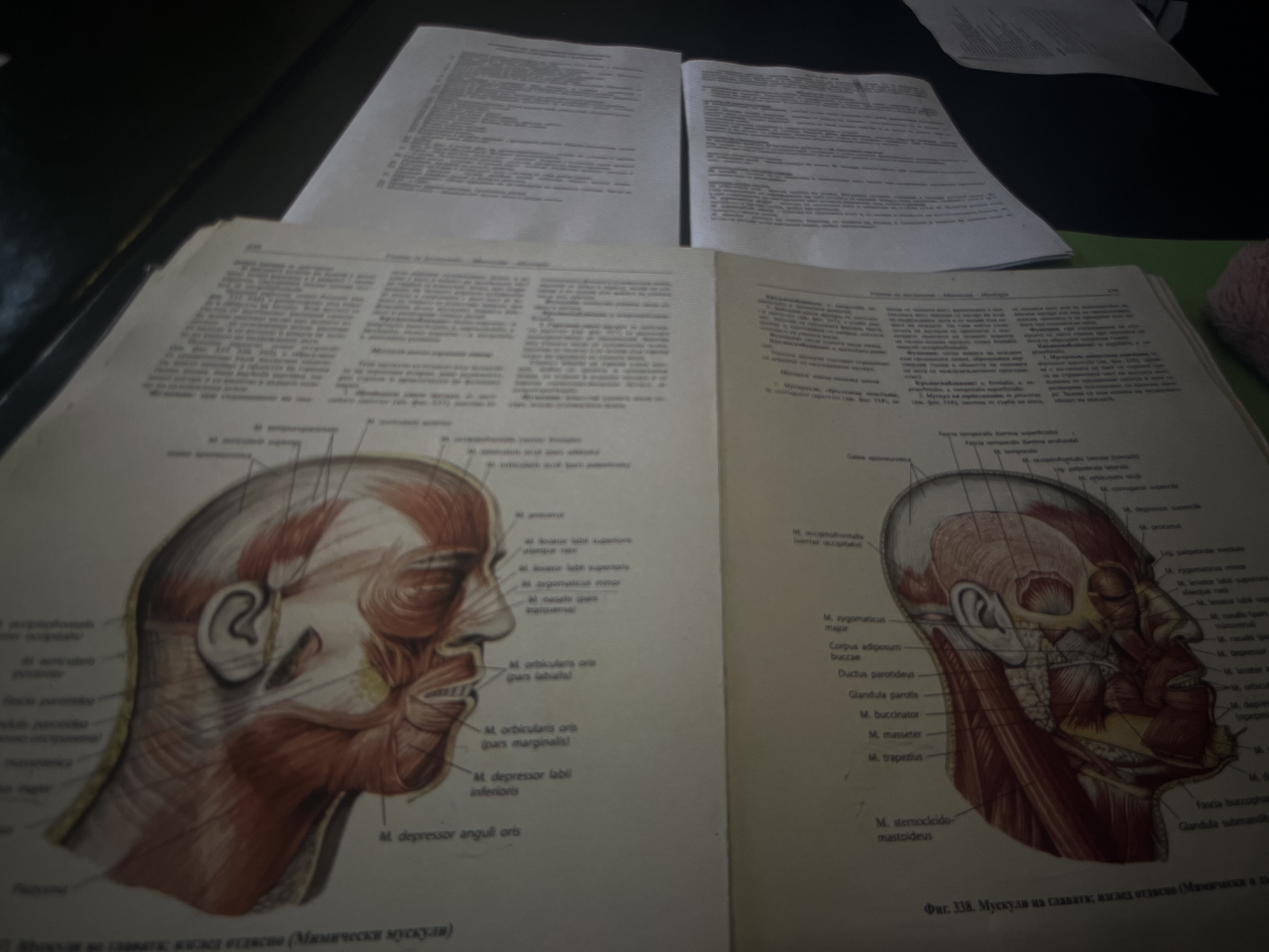 The image shows an open textbook with anatomical drawings of the human head and neck musculature. The book lies on a surface, possibly a desk, with loose sheets of paper scattered nearby. The anatomical diagrams illustrate muscles like the "M. orbicularis oris," "M. depressor labii inferioris," "M. depressor anguli oris," and "M. sternocleidomastoideus," among others, labeled in a non-English language, possibly Bulgarian or a similar Slavic language. The drawings are detailed, showing the muscle layers and their orientations. The presence of the textbook and additional papers suggests an environment related to medical study or reference material.