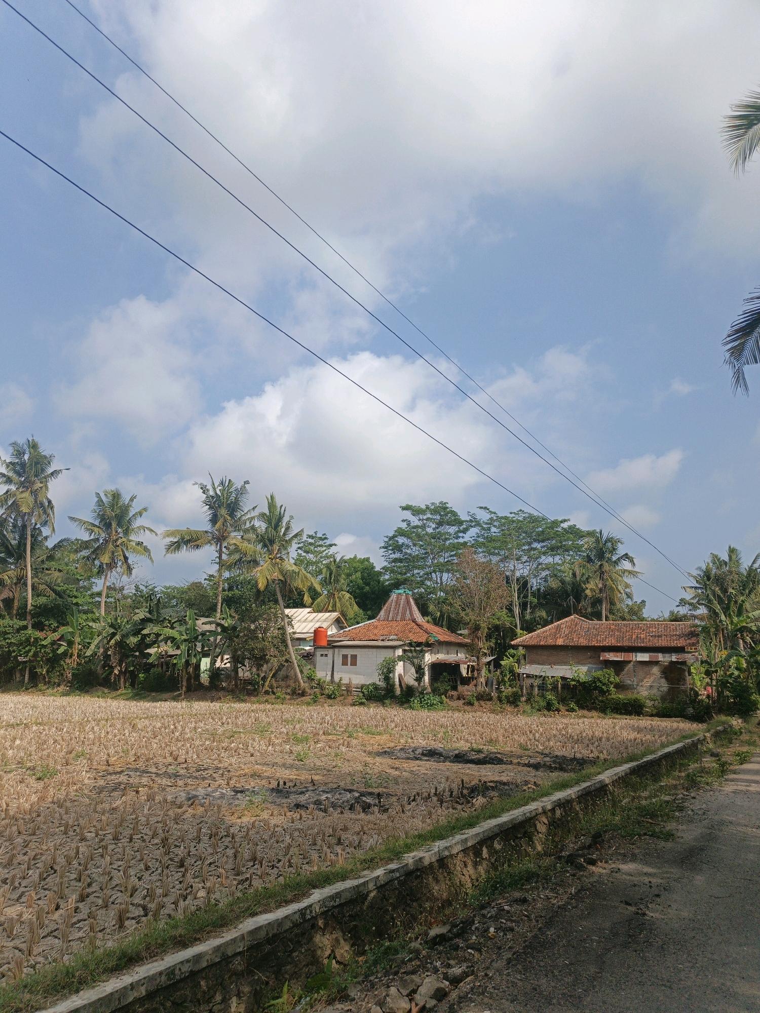 The image depicts a rural scene in Pasuruan, Indonesia, under a bright, partly cloudy sky. In the foreground, a dry, harvested rice field is visible, characterized by stubble and cracked earth. A concrete drainage ditch runs along the edge of the field, separating it from a dirt road on the right.
Behind the field, several houses with traditional red-tiled roofs are nestled among lush vegetation and tall palm trees. One house has a distinctive conical roof. Power lines are strung across the sky, diagonally traversing the upper portion of the image. The environment appears to be a typical Indonesian village setting, with a focus on agriculture and residential dwellings integrated with nature. There are no people or animals clearly visible in the frame.