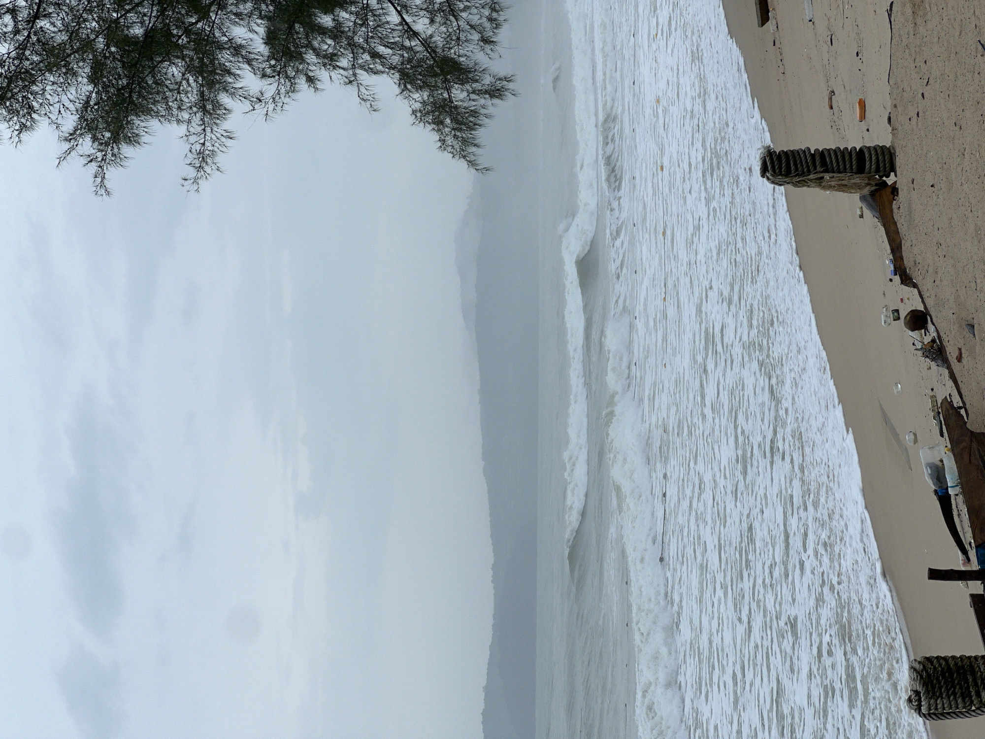 The image captures a beach scene under an overcast sky. Dominating the upper left is a tree with dark, intricate branches. The foreground consists of a sandy beach littered with various debris, including plastic bottles, scraps of wood, and other unidentifiable objects. The beach meets the water's edge where waves are breaking, creating a white foam as they roll onto the shore. In the distance, a hazy mountain range is partially obscured by the low-hanging clouds. The city location is unknown.