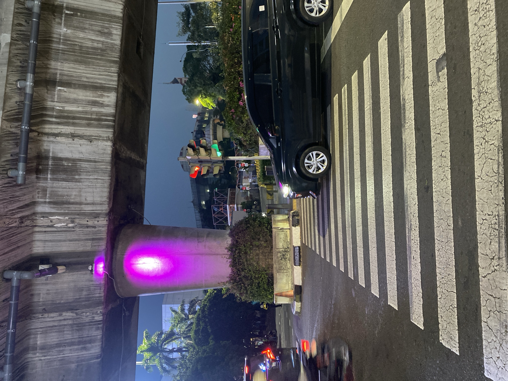 At night, under an elevated concrete structure with graffiti and dripping stains, a crosswalk in South Jakarta, Indonesia, is illuminated by the vibrant purple light emanating from a fixture attached to a support column. A dark-colored minivan is positioned on the crosswalk, while another vehicle, possibly a car, is blurred in motion to the left. Traffic lights in the background display a red and green signal. Lush green foliage surrounds the base of the illuminated column.