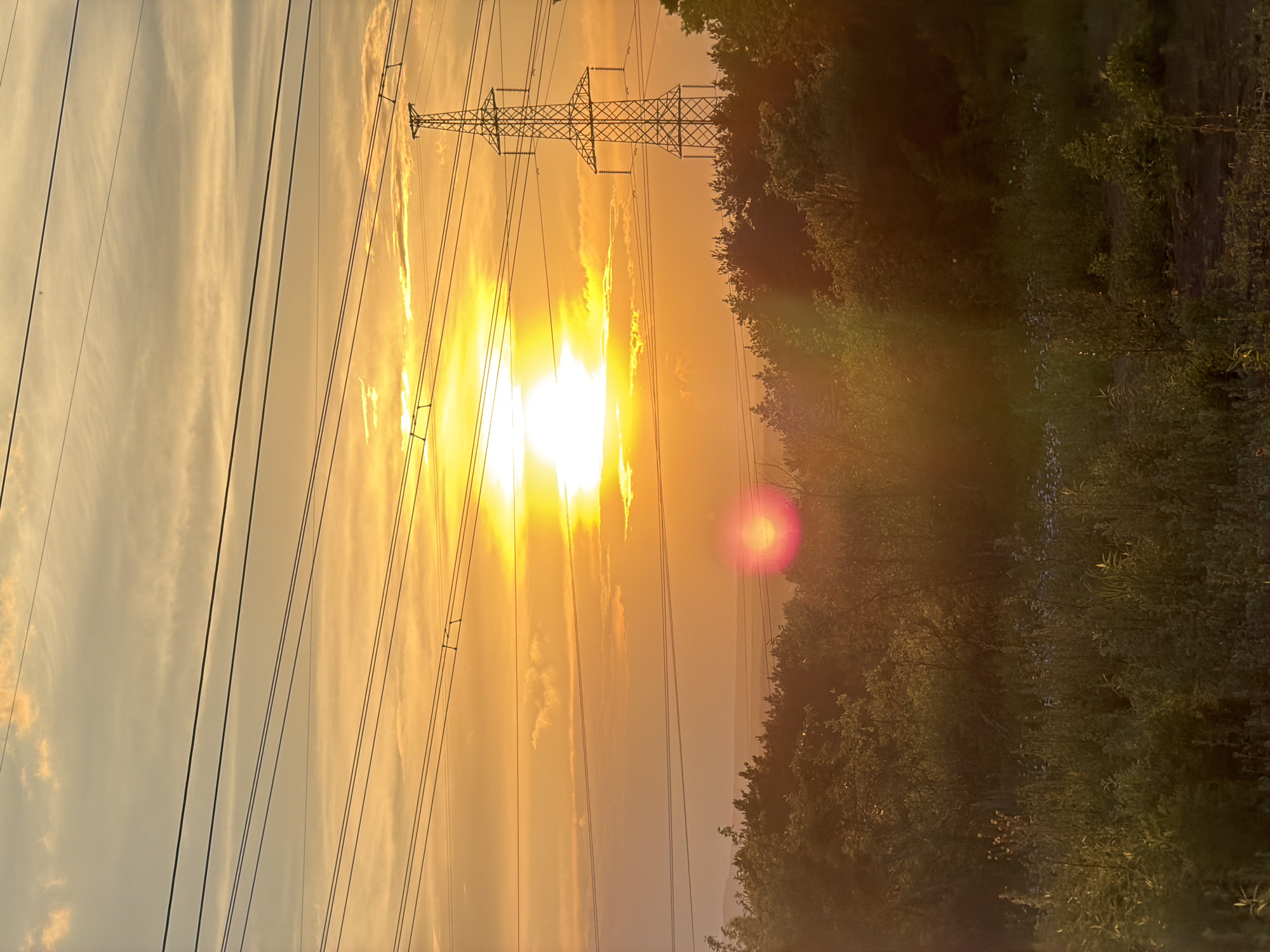A sunset with a bright orange sun is visible in the sky, casting a warm glow over the landscape. Power lines stretch across the frame from left to right, with a tall power tower on the right side of the image. Below the sky and power lines is a dense line of trees, which transitions into a field of tall grass and wildflowers in the foreground. The scene appears to be set in a rural or semi-rural area, possibly on the outskirts of Chaikovsky, Russia, given the presence of power infrastructure common in such locations. The overall atmosphere is serene, with the setting sun creating a dramatic and colorful display.