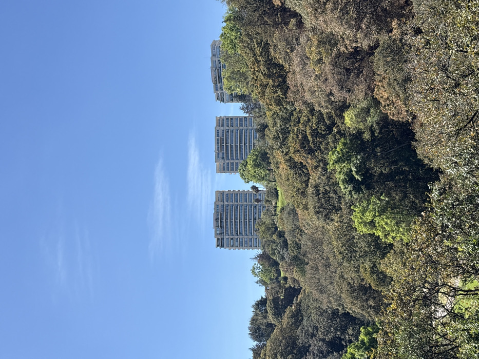 Three high-rise buildings rise in a staggered line against a clear blue sky with wispy clouds. The buildings are light gray and have numerous windows. Lush, dense green foliage and trees surround the buildings on the right side of the frame. The scene appears to be captured from a low vantage point, emphasizing the height of the buildings against the sky.