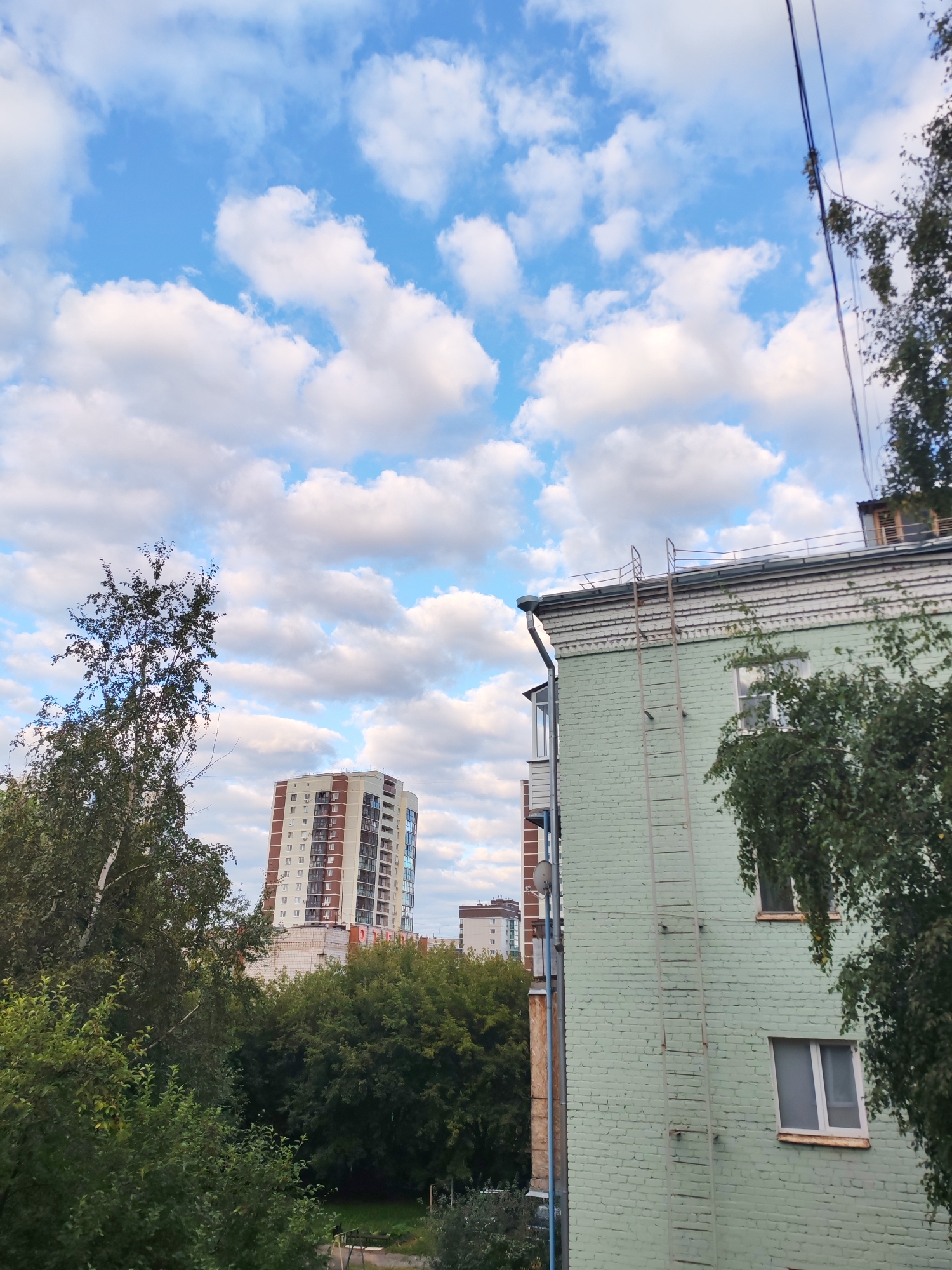 The image captures a view of urban buildings and trees against a cloudy blue sky, likely taken from a residential building in Izhevsk, Russia. In the foreground, a light green brick apartment building is visible on the right, with a metal ladder attached to its exterior. A window with a white frame is also present on this building. To the left of the foreground building, a tall, slender tree with sparse leaves is prominent. In the middle ground, a high-rise apartment building with a white and red facade stands out. Lush green trees and foliage fill the lower middle section of the image, obscuring the ground level. In the background, another apartment building is partially visible. Overhead, a network of electrical wires is strung across the frame. The sky is filled with scattered white clouds against a bright blue backdrop.