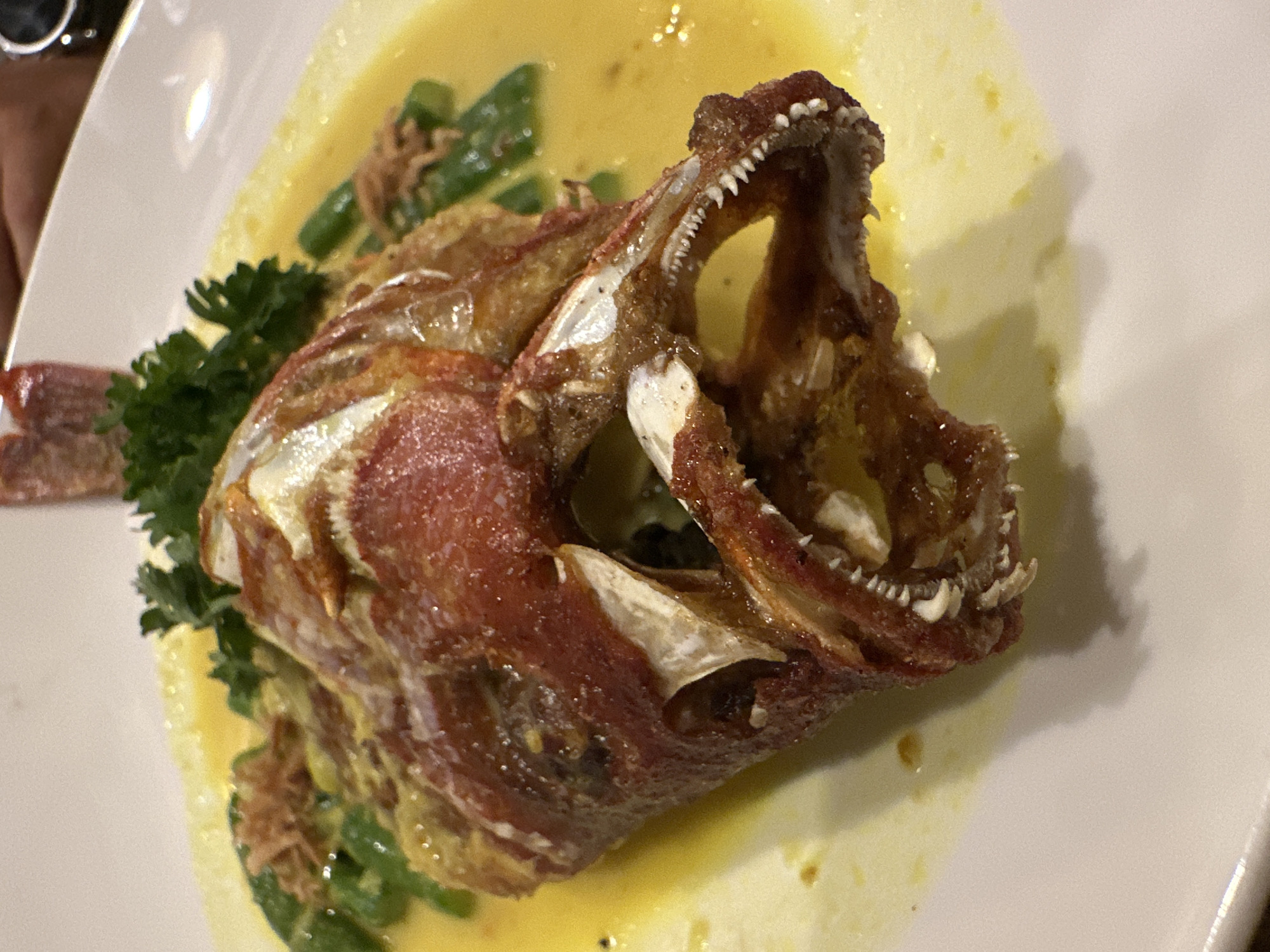 A close-up shot depicts a deep-fried fish head, mouth agape to reveal sharp teeth, served on a white plate with green beans, parsley, and a yellow sauce. The fish head is primarily red and brown with white accents. The plate is situated on what appears to be a table. The location is Nusa Penida, Indonesia.