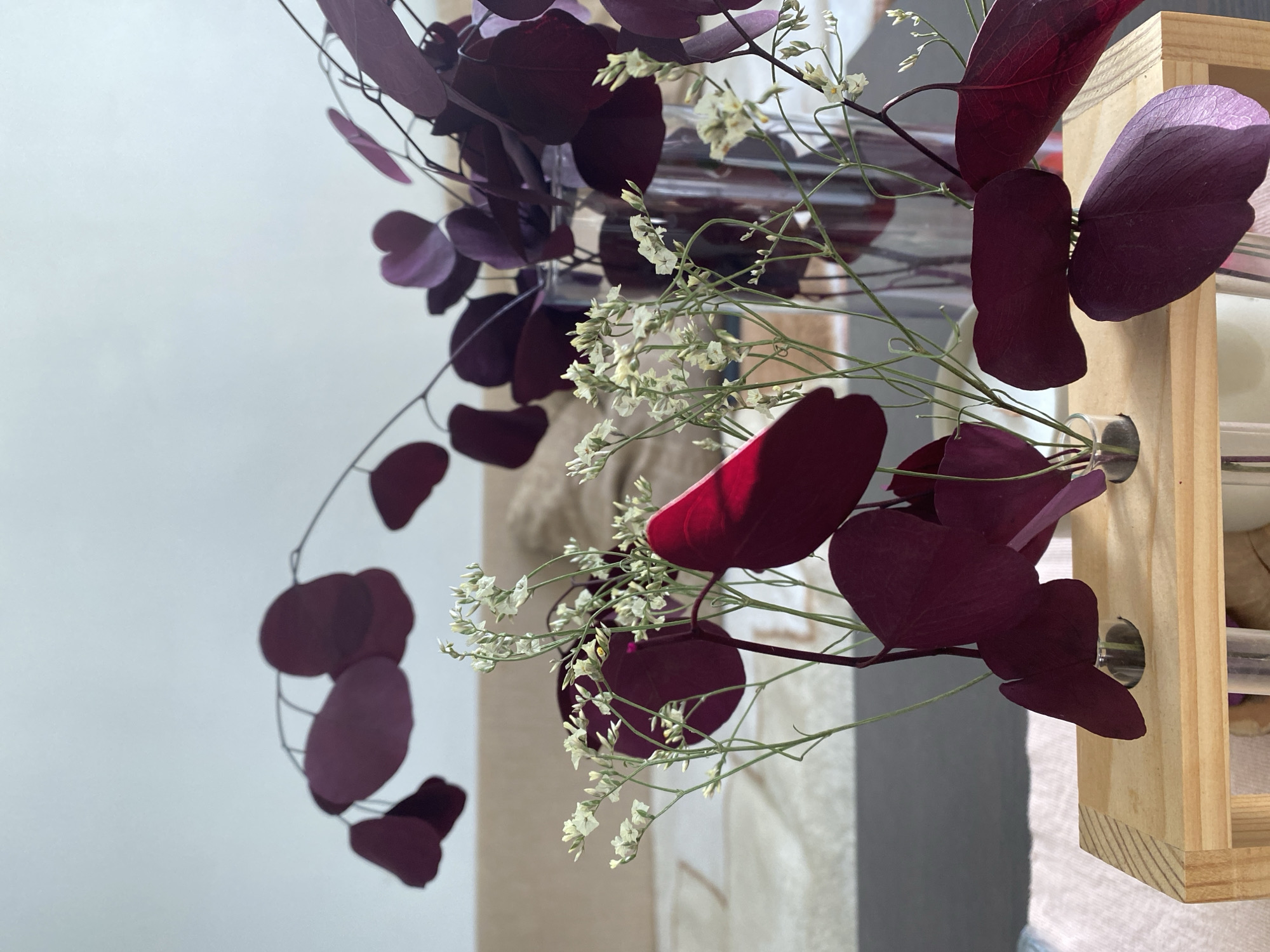 The image shows a floral arrangement with purple oxalis triangularis and white baby's breath flowers. The flowers are arranged in clear glass test tubes held within a light-colored wooden frame with holes. The frame is located against a wall, with a light gray section visible behind it. To the left, a light-colored wall is also visible. The location in the city of Chaikovsky, Russia, is not evident from the image.