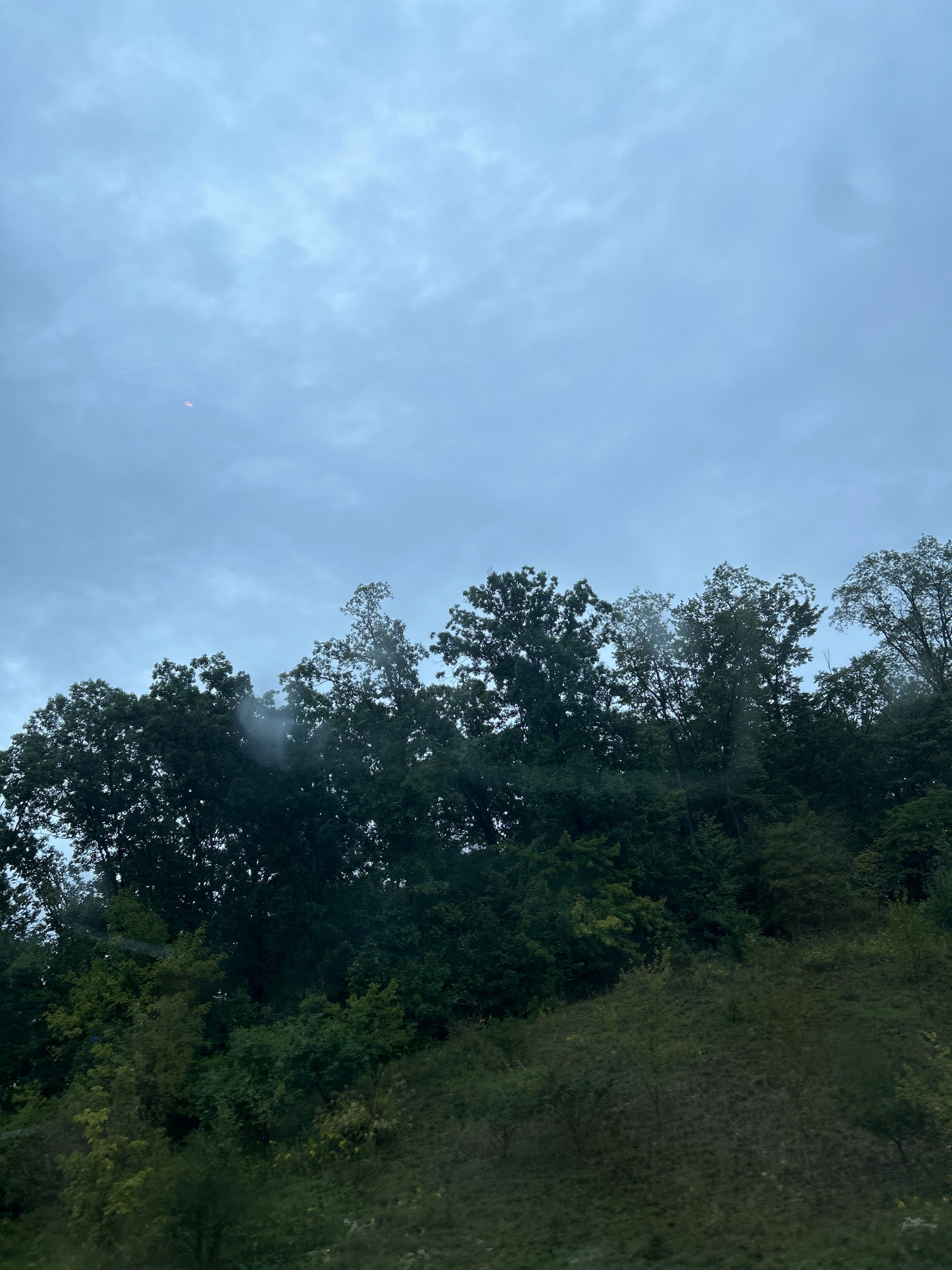 The image shows a densely wooded hillside under a cloudy sky. The trees are a mix of dark green deciduous trees, with some lighter green foliage visible on the lower slopes. A faint crescent moon is visible in the upper left portion of the sky. There are no people, structures, or vehicles in the image. The scene appears to be a natural landscape.
