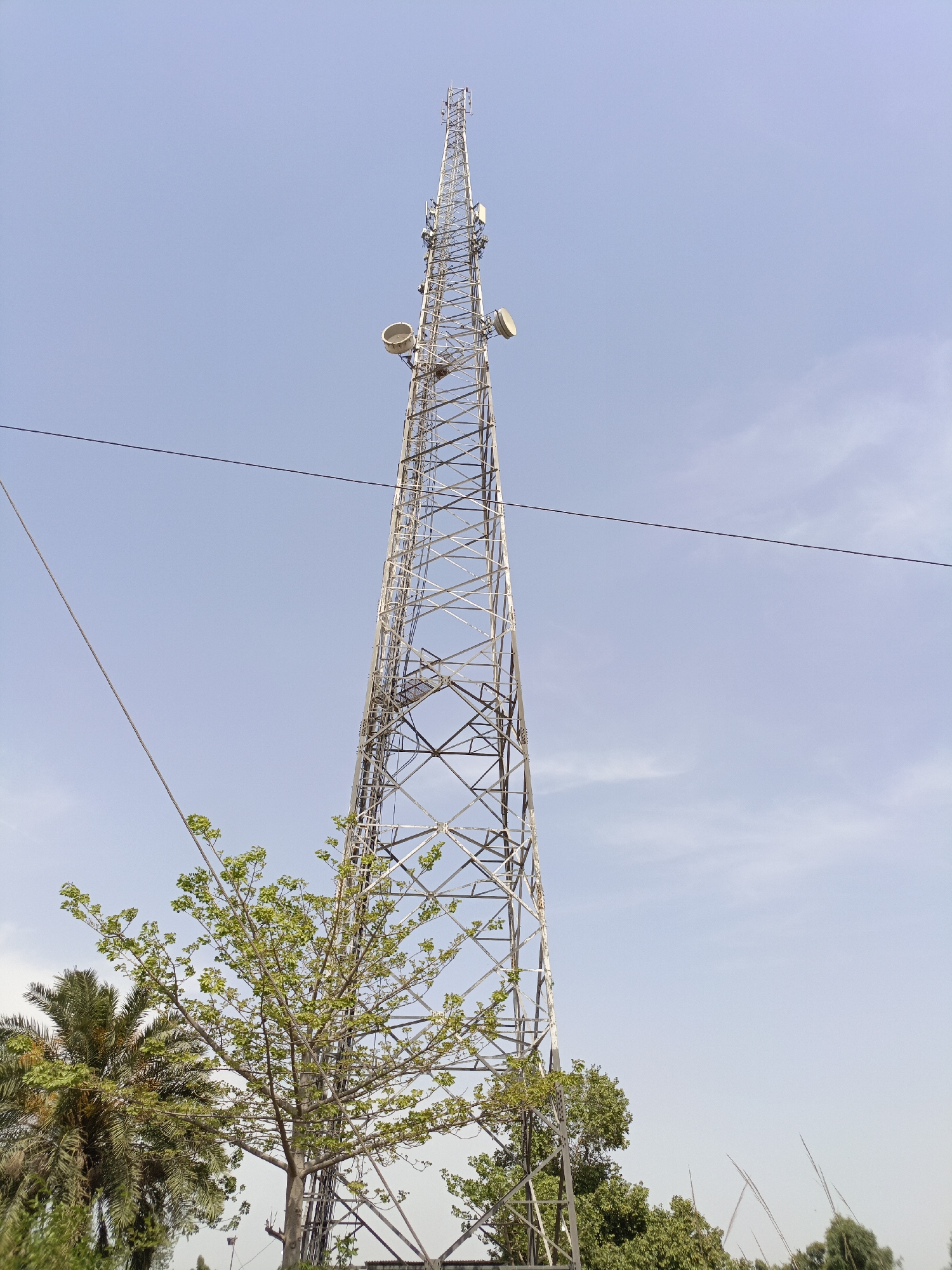 A tall, metal lattice communication tower stands prominently, extending high into a clear, light blue sky. The tower is equipped with multiple antennae and two large, round dish-shaped antennae; one is visible on the upper right side, and another is lower down on the left. The metallic structure of the tower appears to be silver-colored, showing some signs of weathering.
In the foreground and mid-ground, various trees frame the base of the tower. On the left, a portion of a palm tree with dark green fronds is visible. To the right and closer to the foreground, a deciduous tree with bright green leaves stands, its branches reaching towards the tower. Additional green foliage can be seen at the bottom edge of the image.
Two dark, thin lines, likely wires or cables, traverse the sky horizontally across the frame, one positioned higher up and another lower down, suggesting connections to the tower or nearby infrastructure. The sky is largely clear with only faint, wispy clouds, indicating bright daytime conditions and fair weather. There is no discernible human activity or visible text in the image. The scene depicts an outdoor setting in Karamsar, Pakistan, focused on telecommunication infrastructure amidst natural elements.