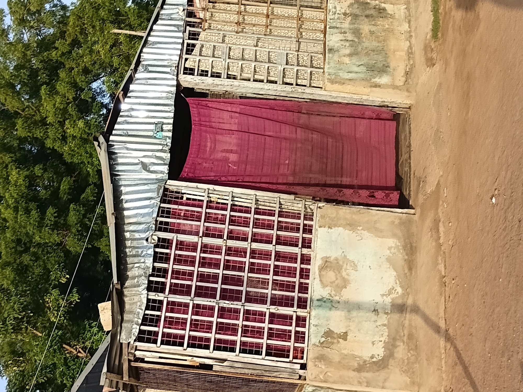 The image depicts the exterior of a humble dwelling in Jalingo, Nigeria. The structure is partially constructed from corrugated metal sheeting, forming a slanted roof and wall sections. Metal bars, resembling security grates, cover windows, with a dark pink fabric curtain partially obscuring an opening that appears to be an entrance. The walls of the building are weathered, showing patches of concrete and discolored plaster. The ground in front is a dusty, sandy terrain, with a visible shadow cast on it, suggesting the presence of sunlight. Lush green foliage from trees is visible in the background, indicating a natural environment surrounding the urban setting. No individuals are present in the frame.