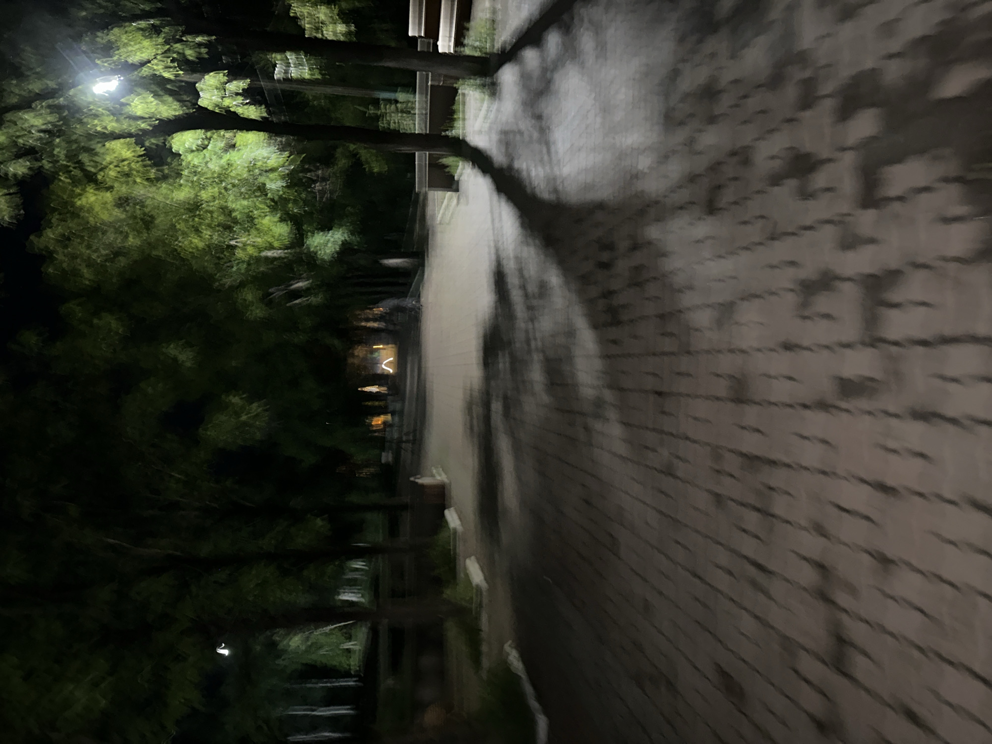 The media file displays a nighttime scene, likely in Birobidzhan, Russia, captured with motion blur. The primary subjects are a tree-lined walkway and a brick-paved path. A streetlamp illuminates the scene, casting elongated shadows from the trees onto the path. The trees are dense with foliage, suggesting it is either spring or summer.
The overall impression is that of a quiet, possibly deserted, evening walk. There are no discernible people or specific objects in the foreground or middle ground, though faint lights from buildings are visible in the distance, indicating an urban or suburban setting. The activity appears to be the act of walking or moving, as evidenced by the motion blur. The time of day is clearly night, and the weather is not explicitly indicated, but the blur suggests movement, possibly wind or camera shake. The brick paving and the style of the walkway could be typical of park or pedestrian areas in Russian cities. There is no visible text in the image. The emotional tone is somewhat mysterious due to the low light and motion blur, creating a sense of movement and transient experience.