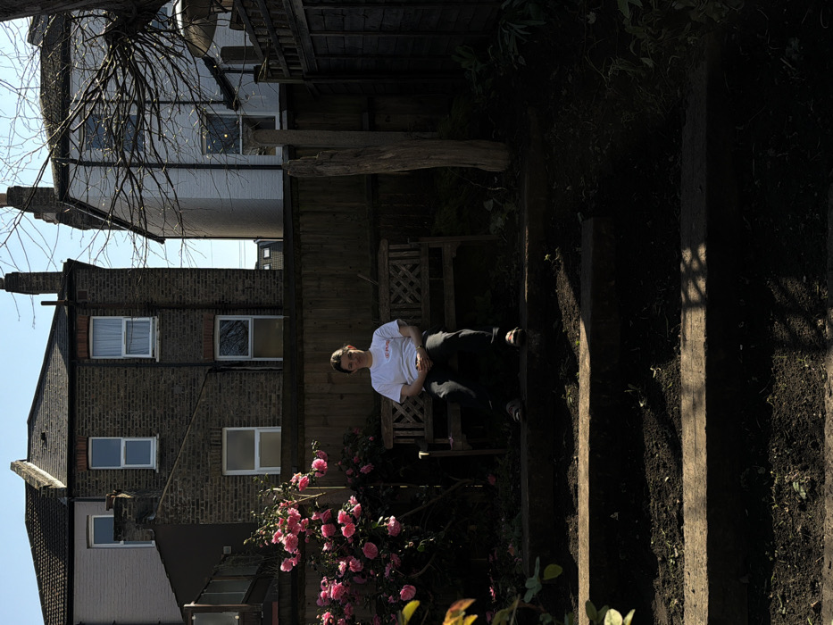 A young adult with dark hair, wearing a white t-shirt with a red logo, dark trousers, and open-toed footwear, is seated centrally on a dark wooden slatted garden bench. Their hands are clasped in their lap, and they face directly towards the viewer. The scene is set in a residential garden in London, United Kingdom, under bright sunlight which illuminates the individual's upper body and casts strong shadows on the foreground. To the left of the bench, a bush with numerous pink flowers is visible. The foreground consists of three discernible steps made of horizontal wooden planks embedded in dark earth, which appears sparsely vegetated. A tall wooden fence forms the back boundary of the garden. Behind the fence, two multi-story residential buildings are visible: a brick building with white-framed windows on the left, and a white-painted building partially obscured by bare tree branches on the right. A weathered wooden post stands to the right of the bench, near the fence. The sky above the buildings is clear blue.