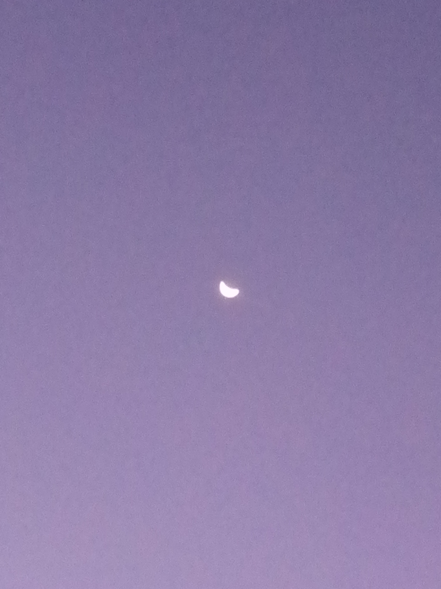 A digital photograph shows a waxing crescent moon against a uniformly colored sky, appearing light lavender in tone. The moon is located in the approximate center of the frame. No people, objects, or other subjects are visible other than the sky and the moon. It is impossible to confirm the location of the image to Las Guevaras, Venezuela.
