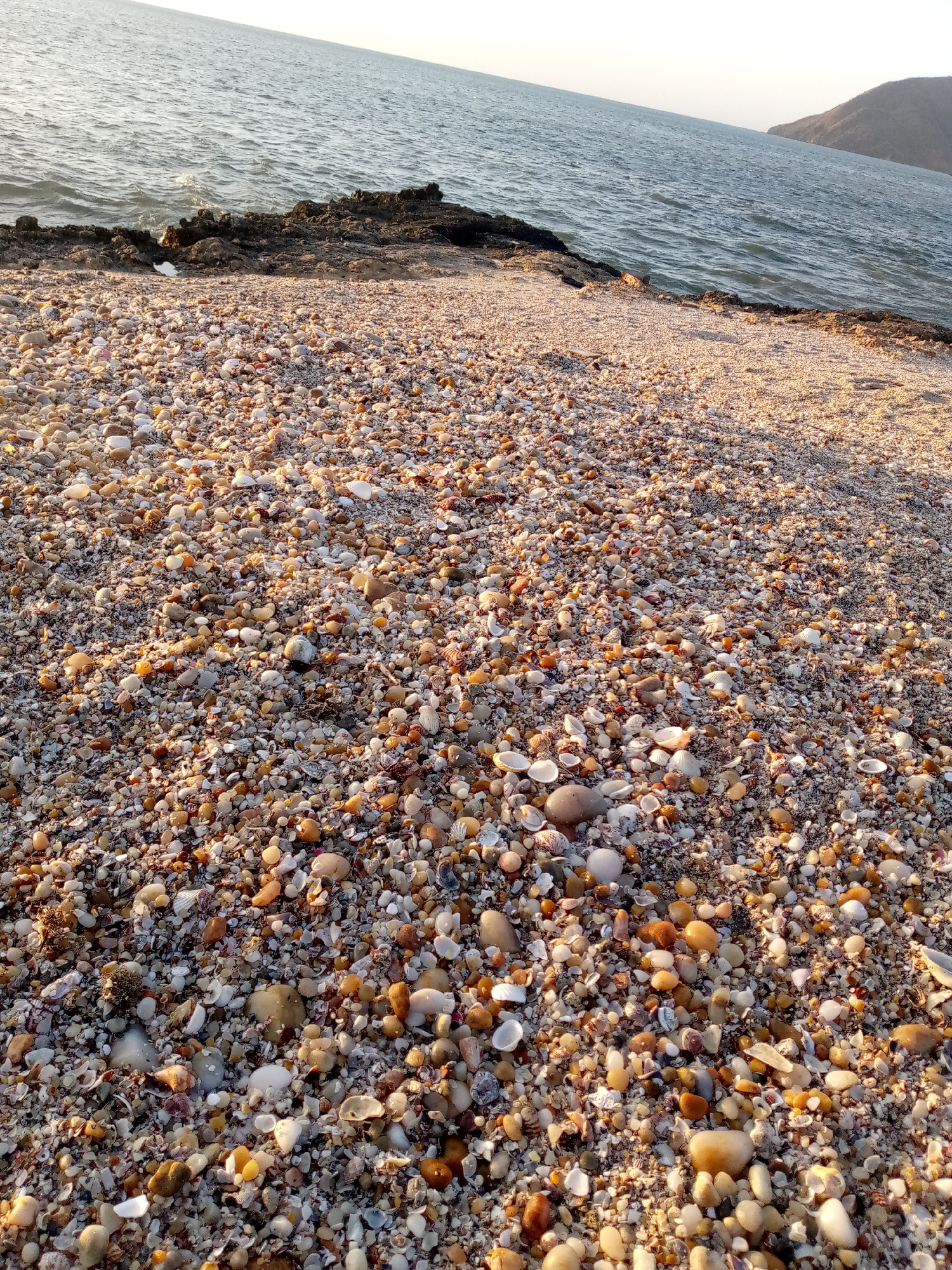The image depicts a beach with a close-up view of shells and small rocks covering the sand. In the background, the ocean extends to the horizon, with land visible on the right side. The scene appears to be illuminated by sunlight. Based on the prompt, the location is Juan Griego, Venezuela.