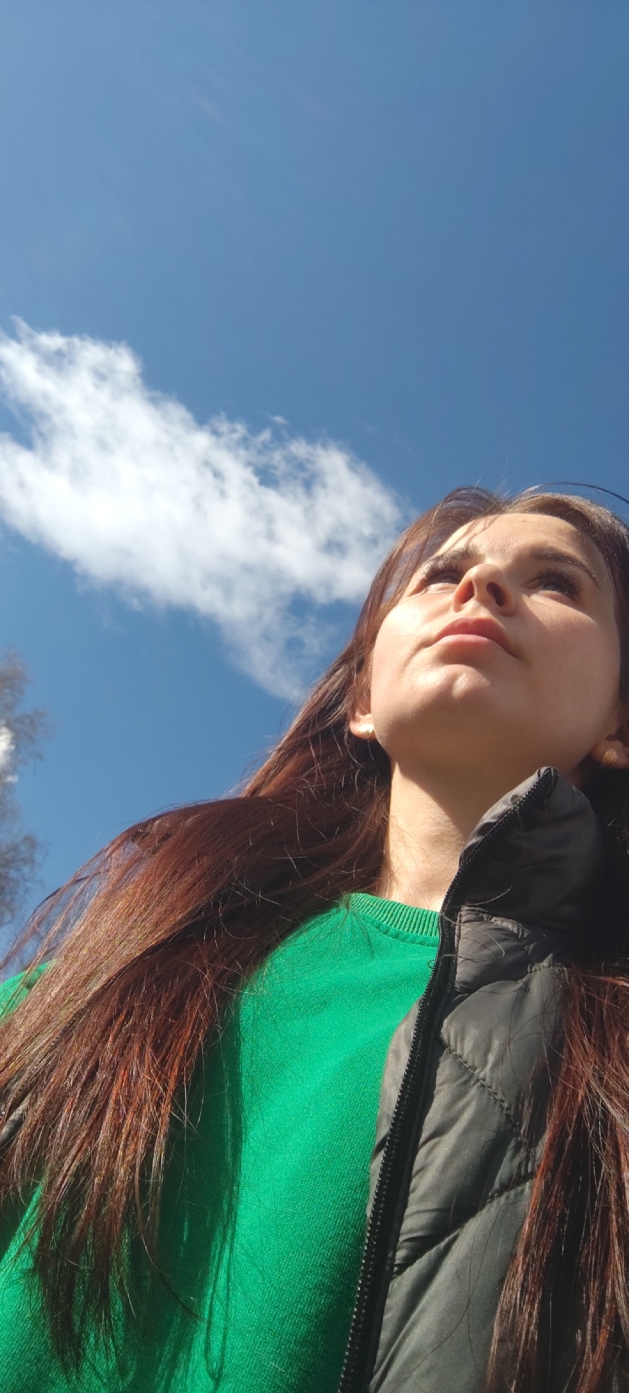 A close-up, low-angle shot features a young woman looking upwards, her gaze directed towards the expansive blue sky above. Her face, seen from below, is illuminated by bright natural light, creating soft shadows under her chin and neck. She has long, dark brown hair with reddish highlights, which flows over her shoulders and across the frame.
She is dressed in a vibrant emerald green long-sleeved top, partially covered by a black puffer vest with a visible zipper. A small, subtle earring can be seen in her left ear. The background is dominated by a clear, bright blue sky with a few scattered, wispy white clouds. On the far left edge of the image, the blurred outlines of bare tree branches are visible.
The scene takes place outdoors during the daytime, under bright, direct sunlight, suggesting clear weather. Her expression appears thoughtful or observant as she looks up. There is no visible text in the image. The setting for this outdoor moment is Фоки, Russia.