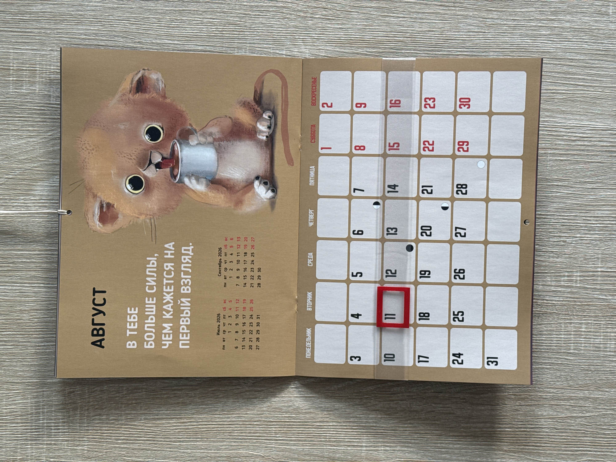 The image shows a calendar page for August 2026, featuring a cartoon drawing of a fluffy, big-eyed kitten drinking from a mug. The text above the kitten reads "АВГУСТ" (August) and below it, "В ТЕБЕ БОЛЬШЕ СИЛЫ, ЧЕМ КАЖЕТСЯ НА ПЕРВЫЙ ВЗГЛЯД." (You have more strength than it seems at first glance). The calendar grid below shows the days of the week with the 11th of August highlighted in a red square. The calendar also displays smaller grids for July and September 2026 at the top. The calendar is attached to a wall with a metallic clip. The wall has a vertical wood grain texture. There is no visible indication of the city of Lyubertsy, Russia in the image.