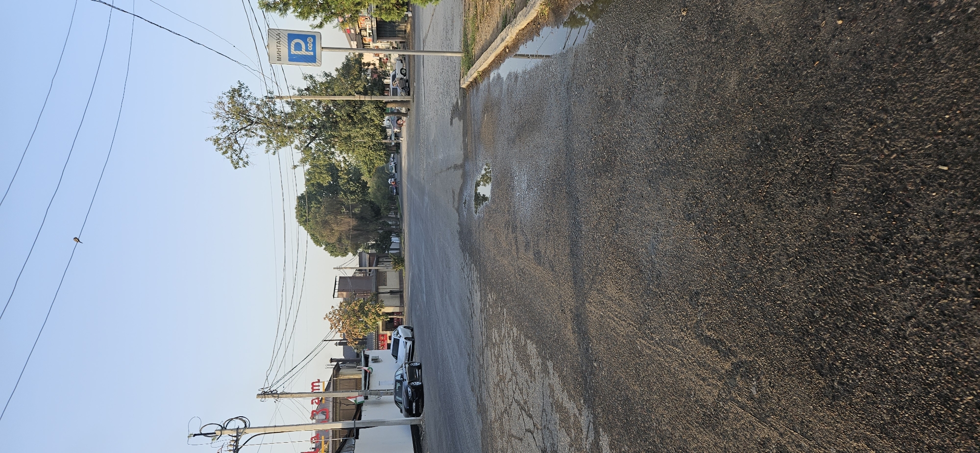 The image captures a street scene in Dushanbe, Tajikistan, likely during daytime with clear skies. The foreground is dominated by an asphalt road with some visible puddles, suggesting recent rain or water accumulation. The road shows signs of wear, with cracks and patches.
On the left side of the street, a white building with a dark roof is partially visible, featuring the red lettering "LA RAM" on its facade. Two cars are parked in front of this building: a black sedan and a white sports car. Further down the street on the left, there are more buildings and trees.
The right side of the street has a sidewalk or paved area with a concrete curb and a grass verge beyond. A tall pole with a blue parking sign is prominently placed, featuring the Cyrillic word "МИНТАКА" (MINTAKA) which means "ZONE", and a parking symbol "P" along with times "17-20". Several parked cars are visible further down this side of the road.
In the mid-ground, the street stretches into the distance, lined with trees and buildings. Some people are visible on the street, including a person walking a bicycle and other individuals near parked vehicles. Power lines crisscross the sky above the street, supported by utility poles. A small bird is perched on one of the power lines in the upper portion of the image. The overall environment appears to be a commercial or mixed-use area within the city.