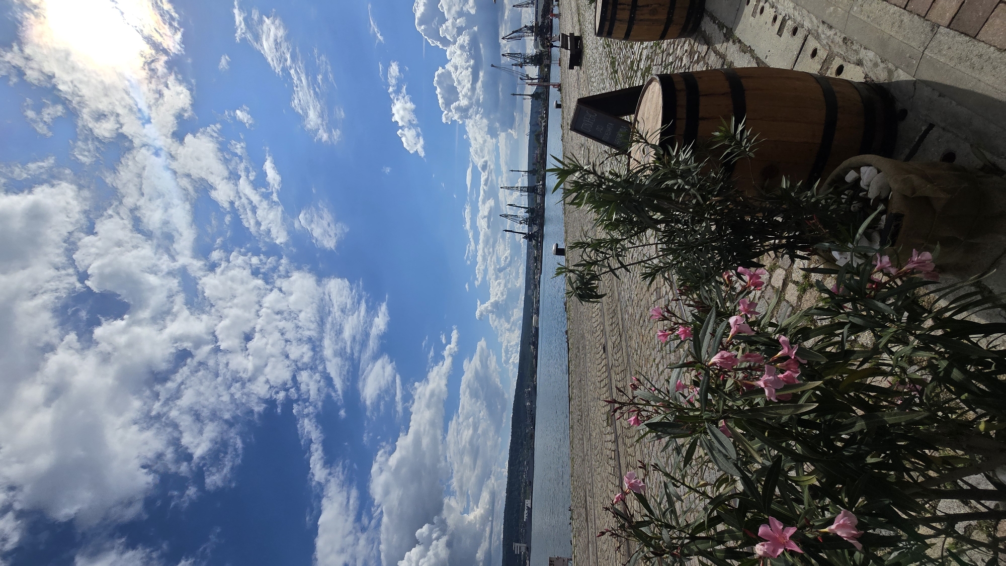 The image depicts a waterfront scene in Varna, Bulgaria, likely a port area, under a bright blue sky with scattered white clouds. In the foreground, there are flowering plants with pink blossoms and a potted plant in a burlap sack, positioned next to wooden barrels. The ground is paved with cobblestones. Beyond the foreground, there is a sandy beach area leading to a body of water, which appears to be a harbor or bay. In the background, along the shoreline, numerous industrial cranes are visible, suggesting port operations. Hills and buildings can be seen in the distance on the far side of the water. The overall impression is of a sunny day in a coastal industrial area.